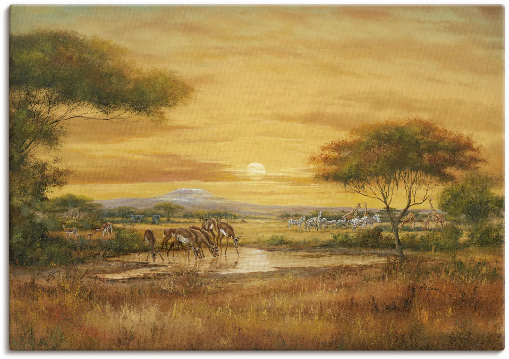 Artland Wandbild "Afrikanische Steppe", Wildtiere, (1 St.) günstig online kaufen