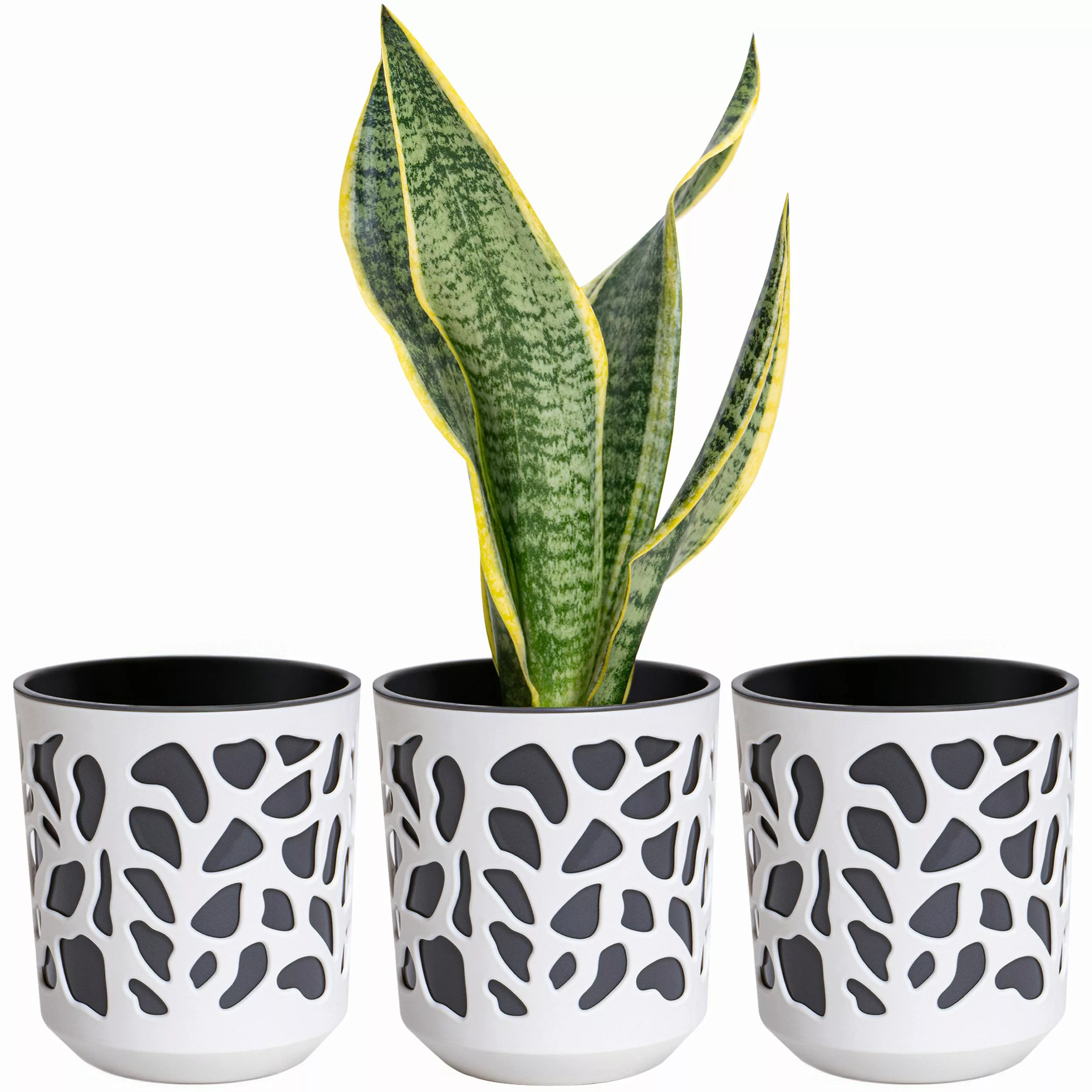 KONZEPT Blumentopf 3er Set Blumentopf klein, günstig online kaufen