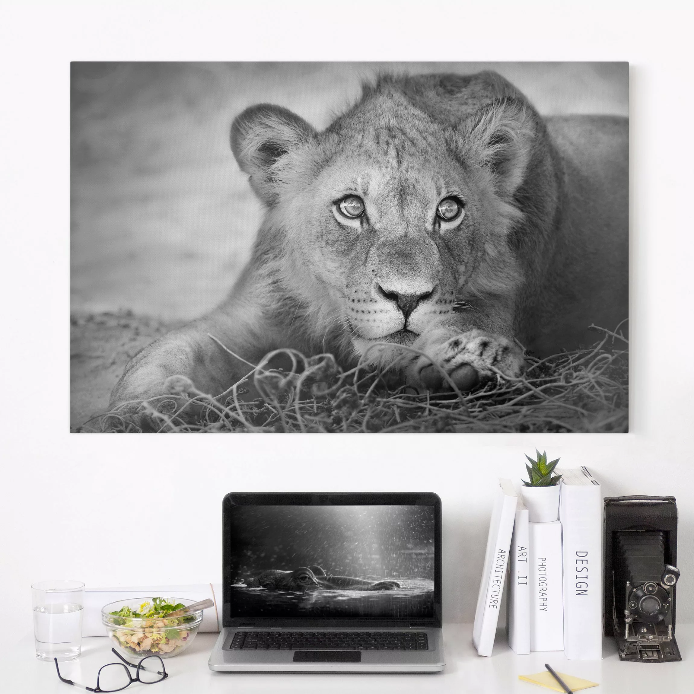 Leinwandbild Tiere - Querformat Lurking Lionbaby günstig online kaufen