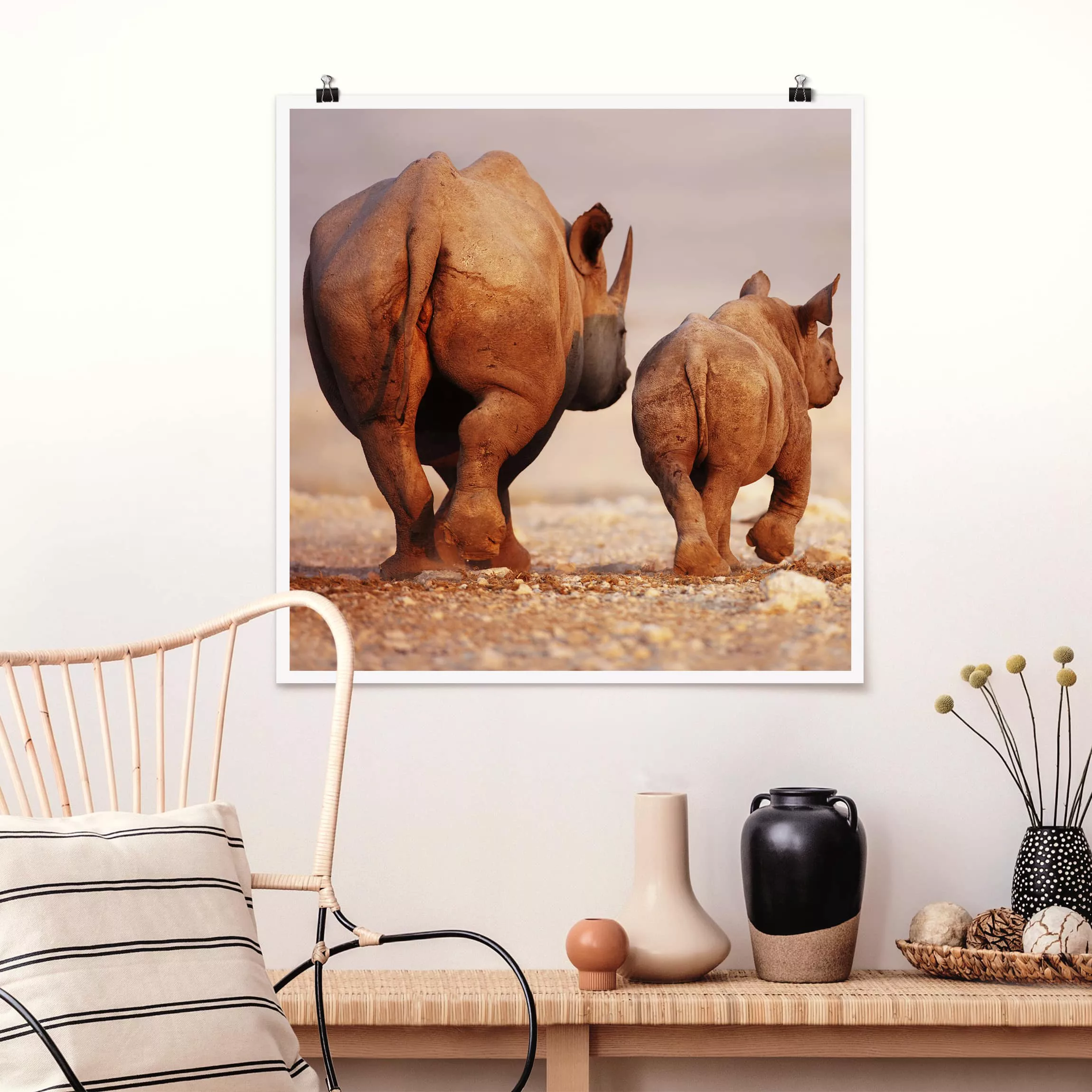 Poster Tiere - Quadrat Wandering Rhinos günstig online kaufen
