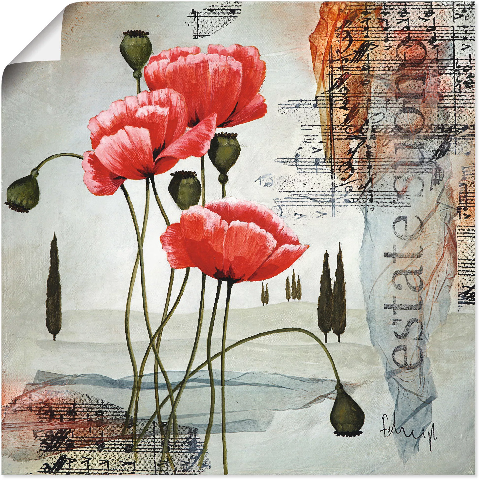 Artland Wandbild "Klatschmohn", Blumen, (1 St.), als Leinwandbild, Poster, günstig online kaufen