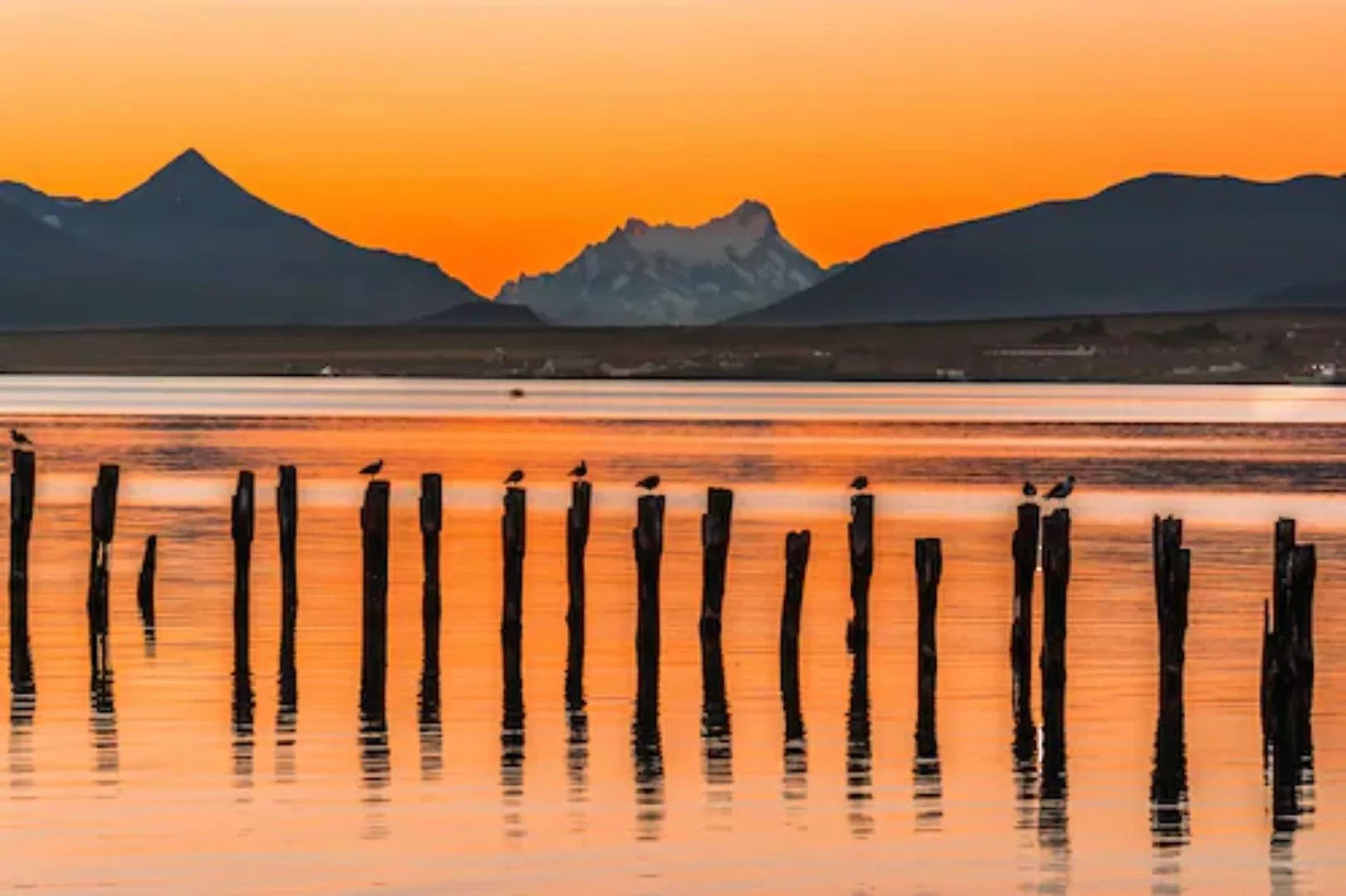 Papermoon Fototapete »PUERTO NATALES-CHILE SEE GEBIRGE BLUMEN SONNE WALD ST günstig online kaufen