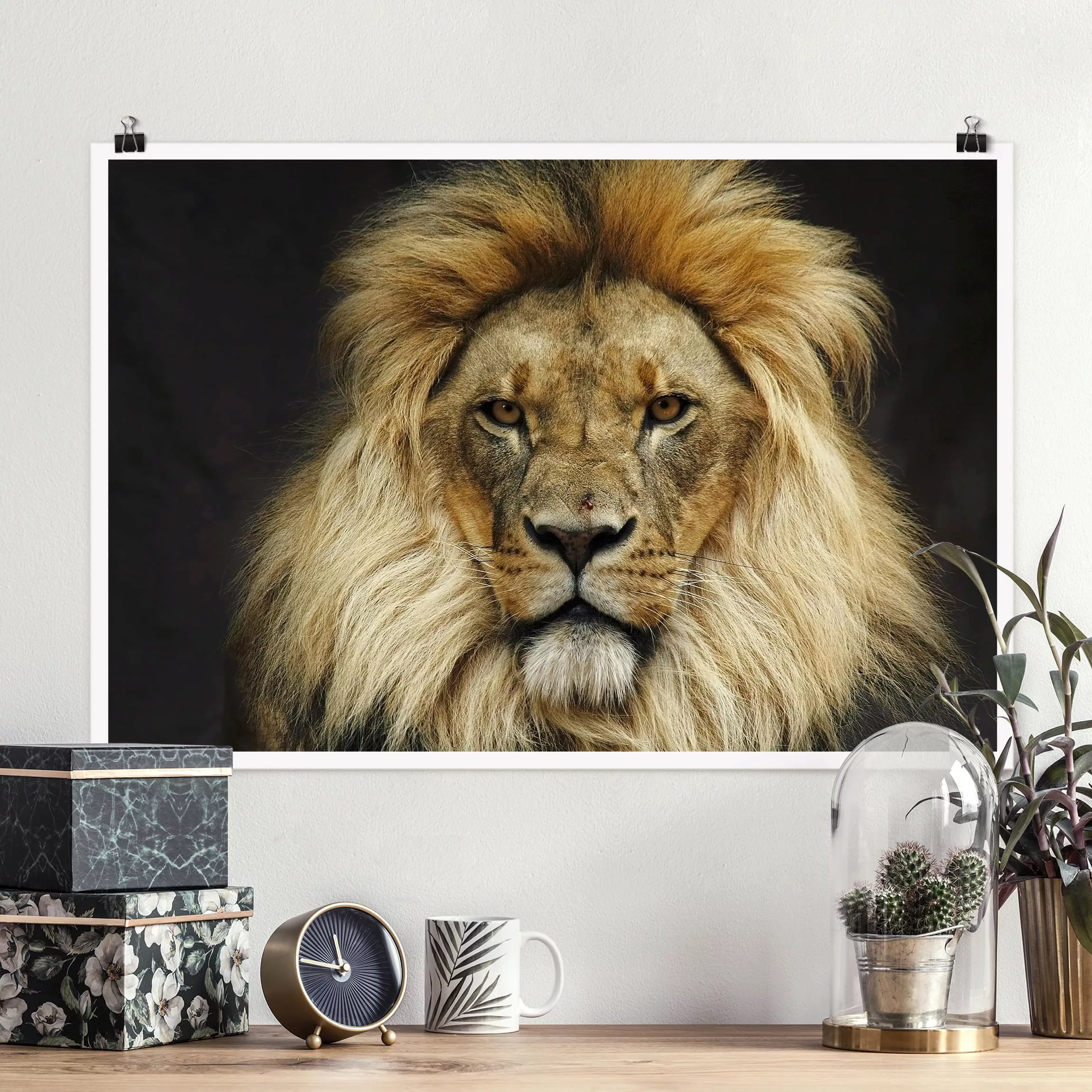 Poster Tiere - Querformat Wisdom of Lion günstig online kaufen