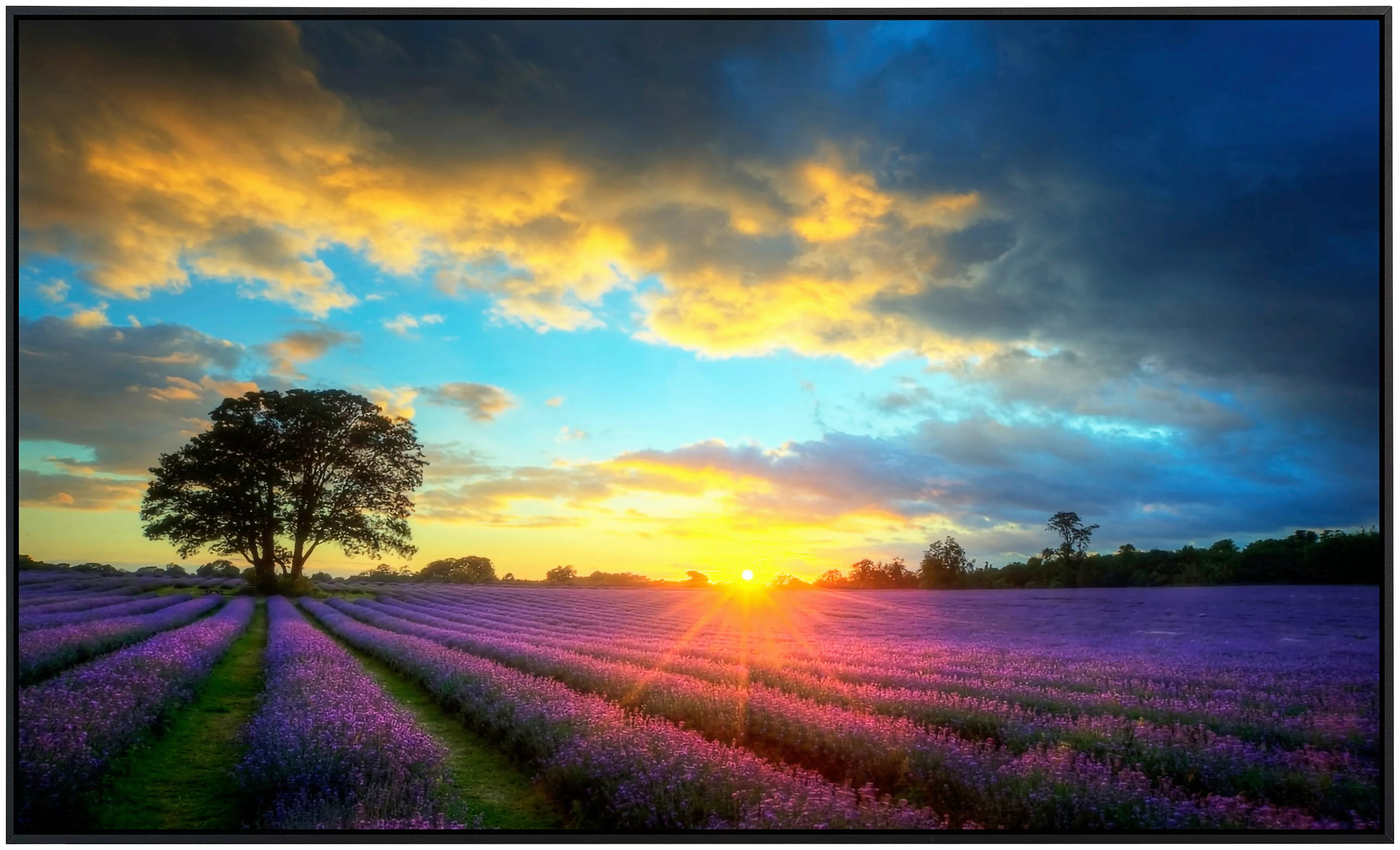 Papermoon Infrarotheizung »Lavendelfelder«, sehr angenehme Strahlungswärme günstig online kaufen