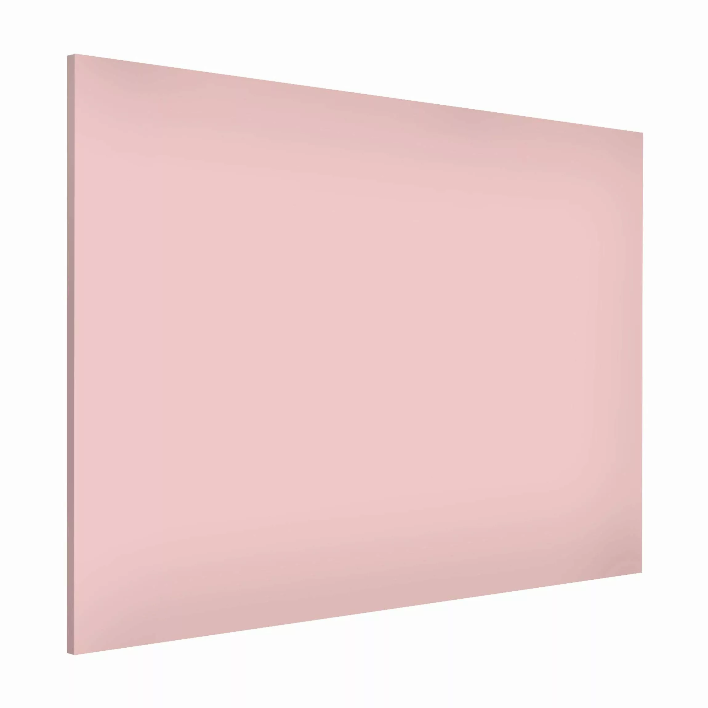 Bilderdepot24 Magnettafel Küche rosa Colour Rose, günstig online kaufen