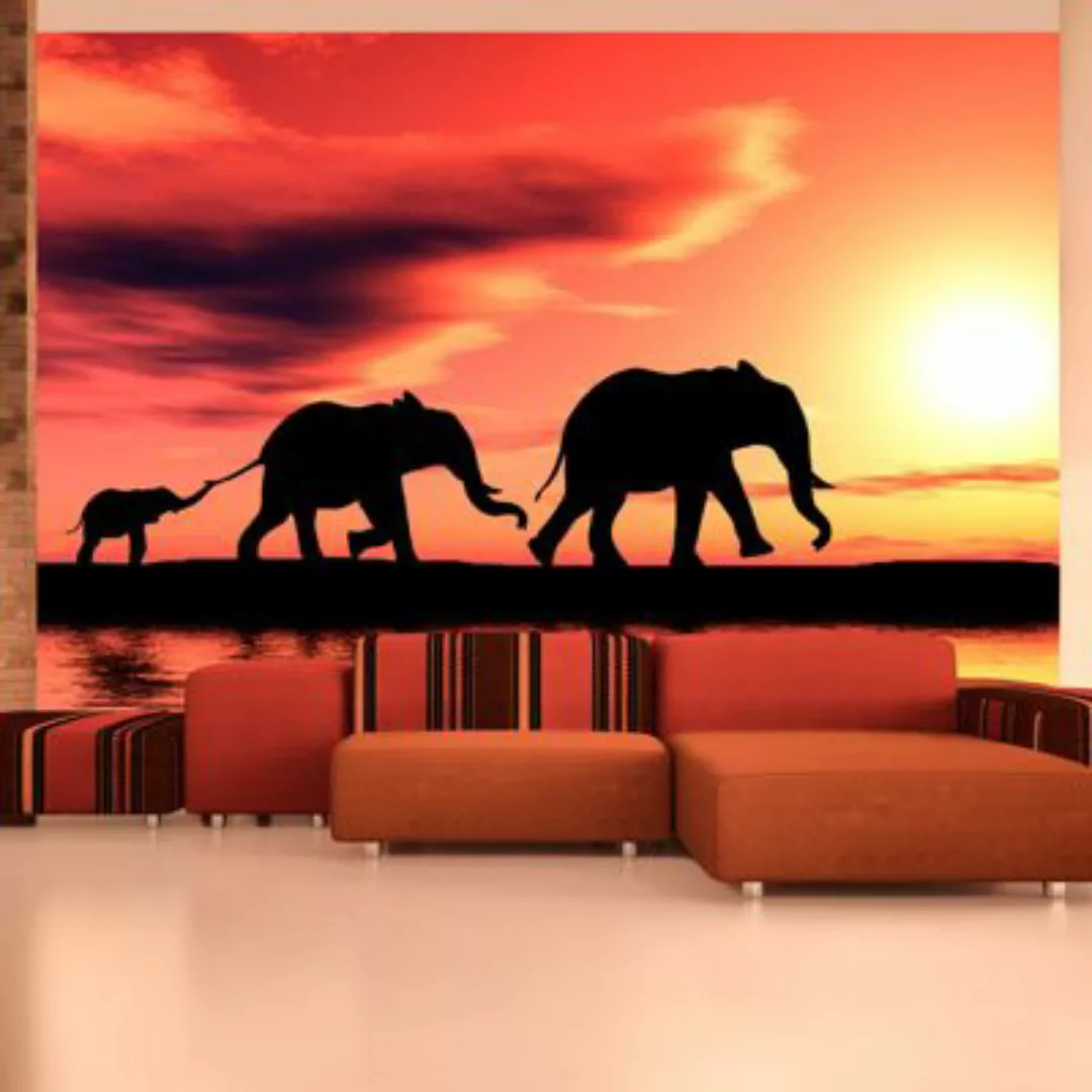 artgeist Fototapete Elefanten: Familie mehrfarbig Gr. 400 x 309 günstig online kaufen