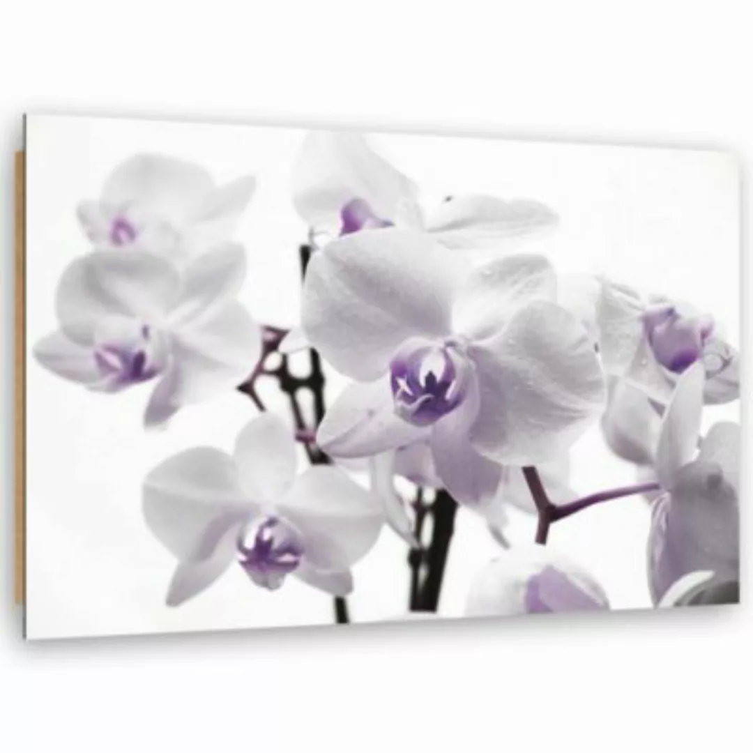FEEBY® Kunst Weisse Orchidee 3 Leinwandbilder bunt Gr. 60 x 40 günstig online kaufen