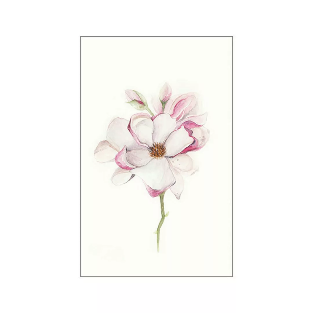 KOMAR Wandbild - Magnolia Blossom - Größe: 50 x 70 cm mehrfarbig Gr. one si günstig online kaufen