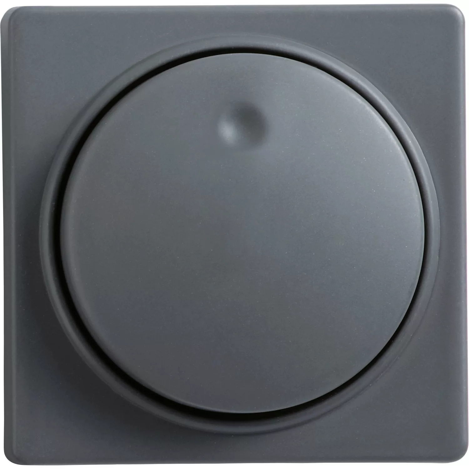 OBI Abdeckung für Dimmer Apollo Coolgray günstig online kaufen