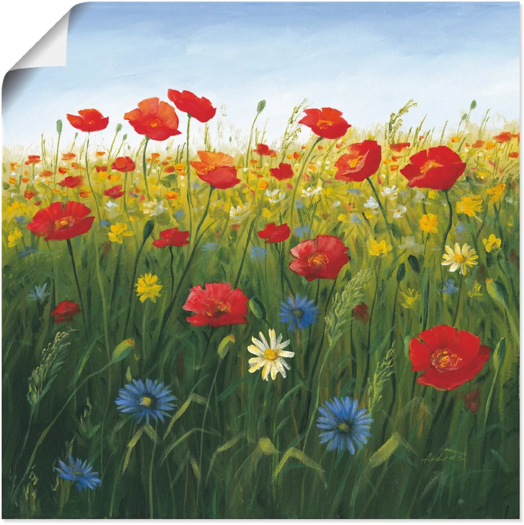 Artland Wandbild »Mohnblumen Landschaft I«, Blumenwiese, (1 St.), als Alubi günstig online kaufen