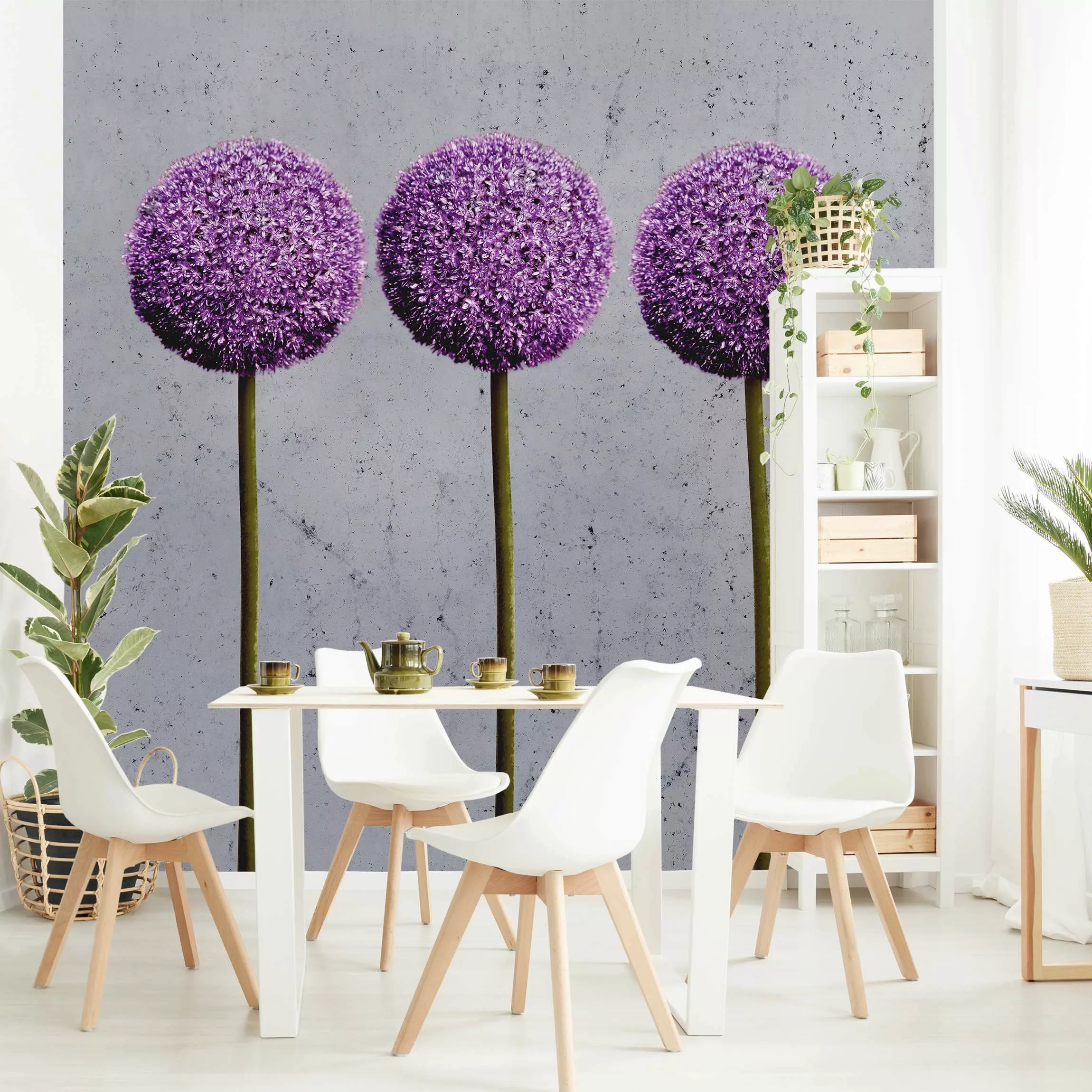 Fototapete Allium Kugel-Blüten günstig online kaufen