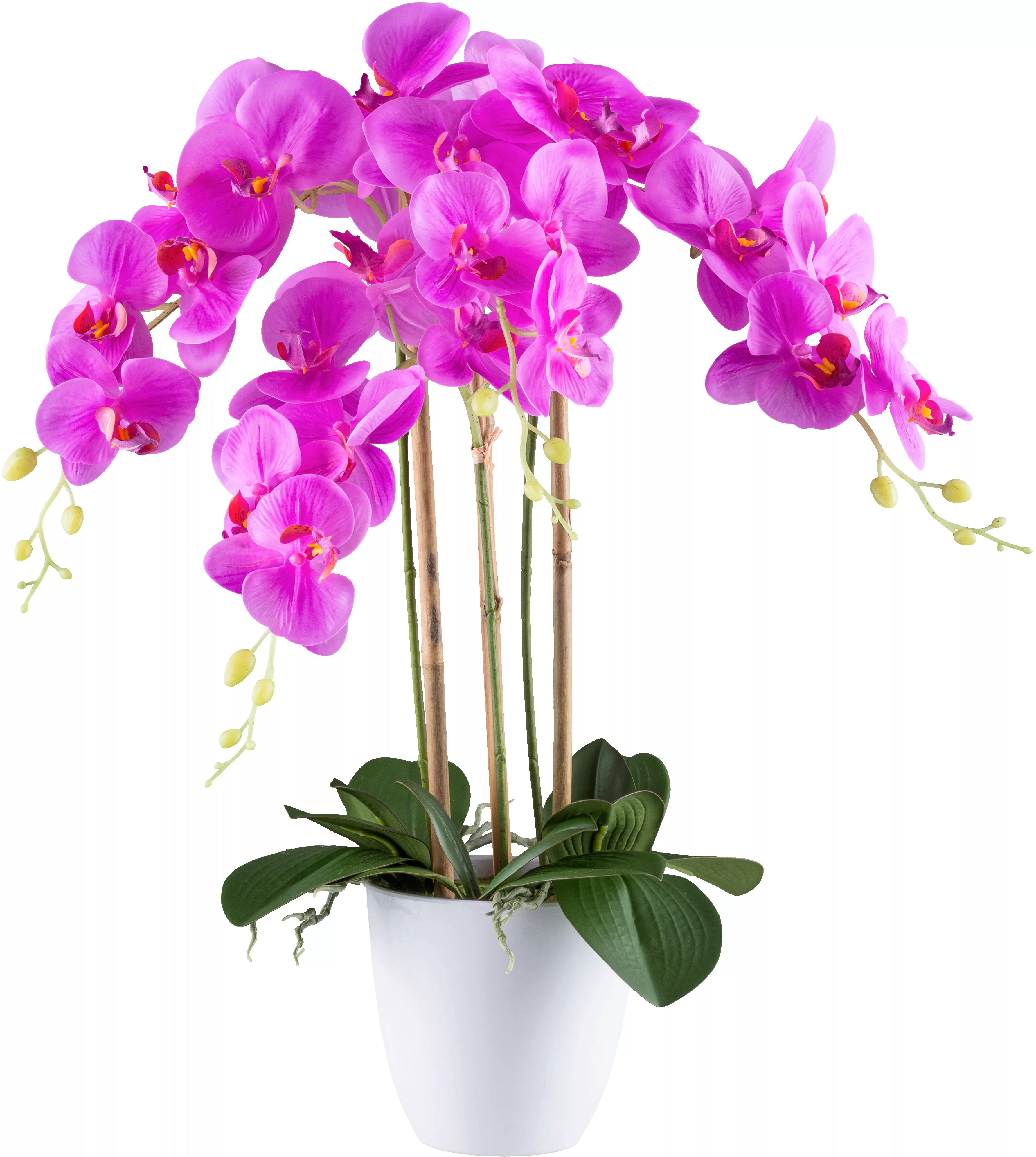 Creativ green Kunstorchidee "Orchidee Phalaenopsis", mit real-touch-Blüten günstig online kaufen