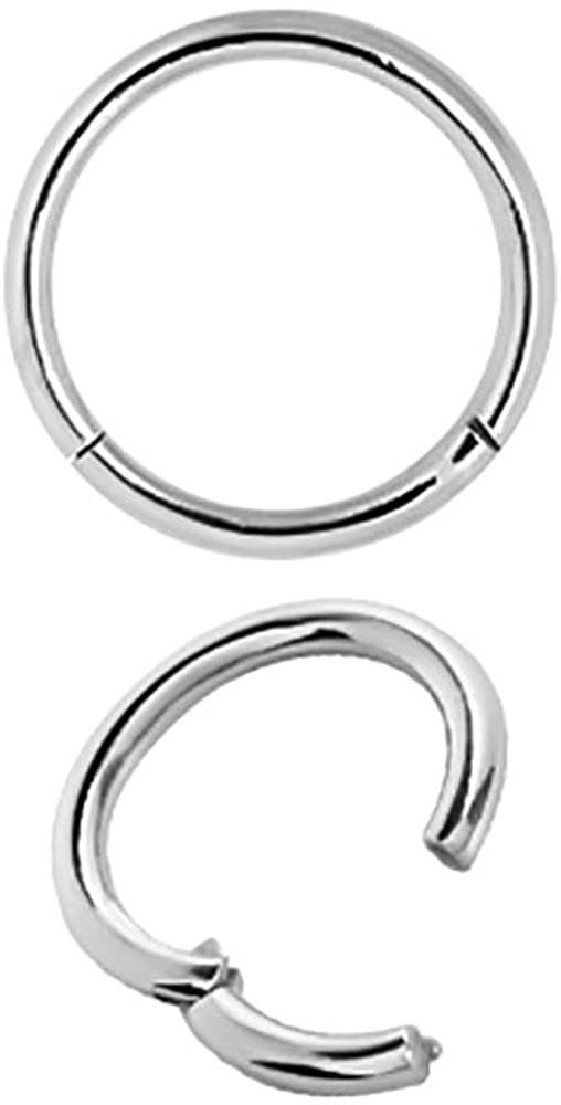 Karisma Nasenpiercing Hinged Titan G23 Segment günstig online kaufen