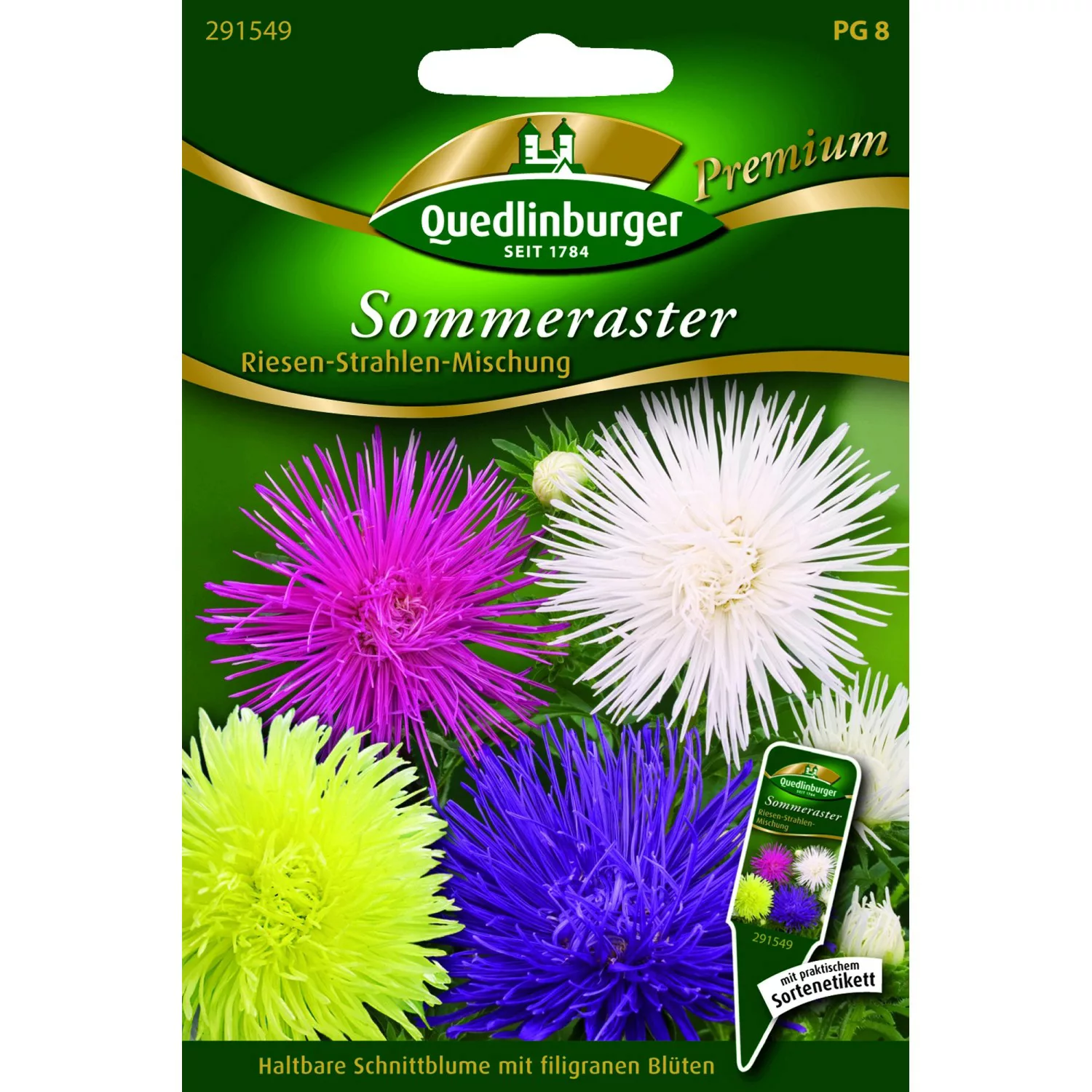 Quedlinburger Sommerastern ''Riesen Strahlen Mischung'' günstig online kaufen