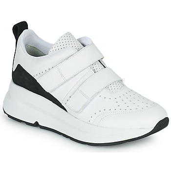 Geox  Sneaker D02FLB08522C0404 günstig online kaufen