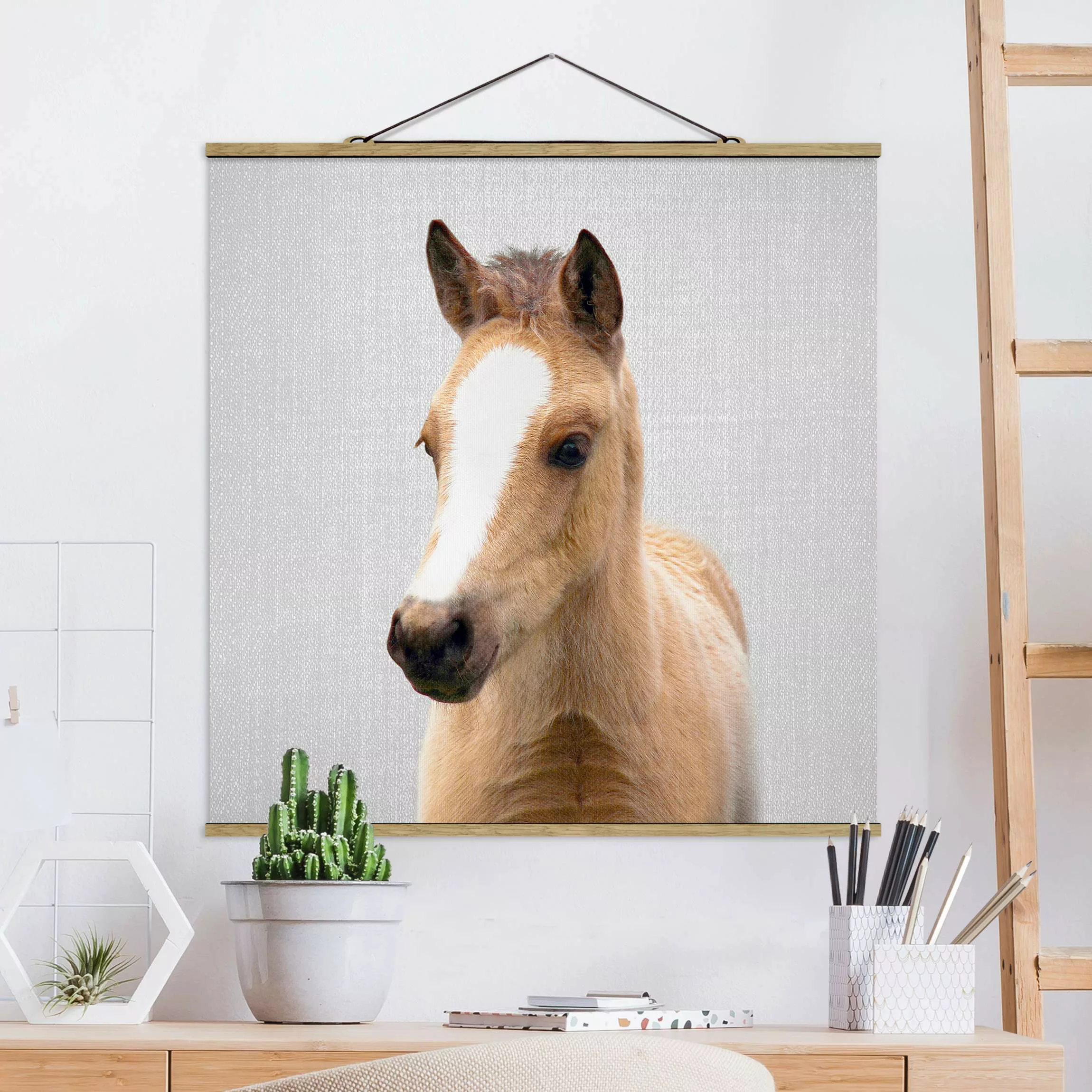 Stoffbild mit Posterleisten Baby Pferd Philipp günstig online kaufen