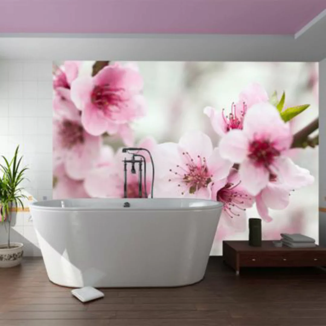 artgeist Fototapete Blühende Kirschblüte (rosa Blümchen) mehrfarbig Gr. 200 günstig online kaufen