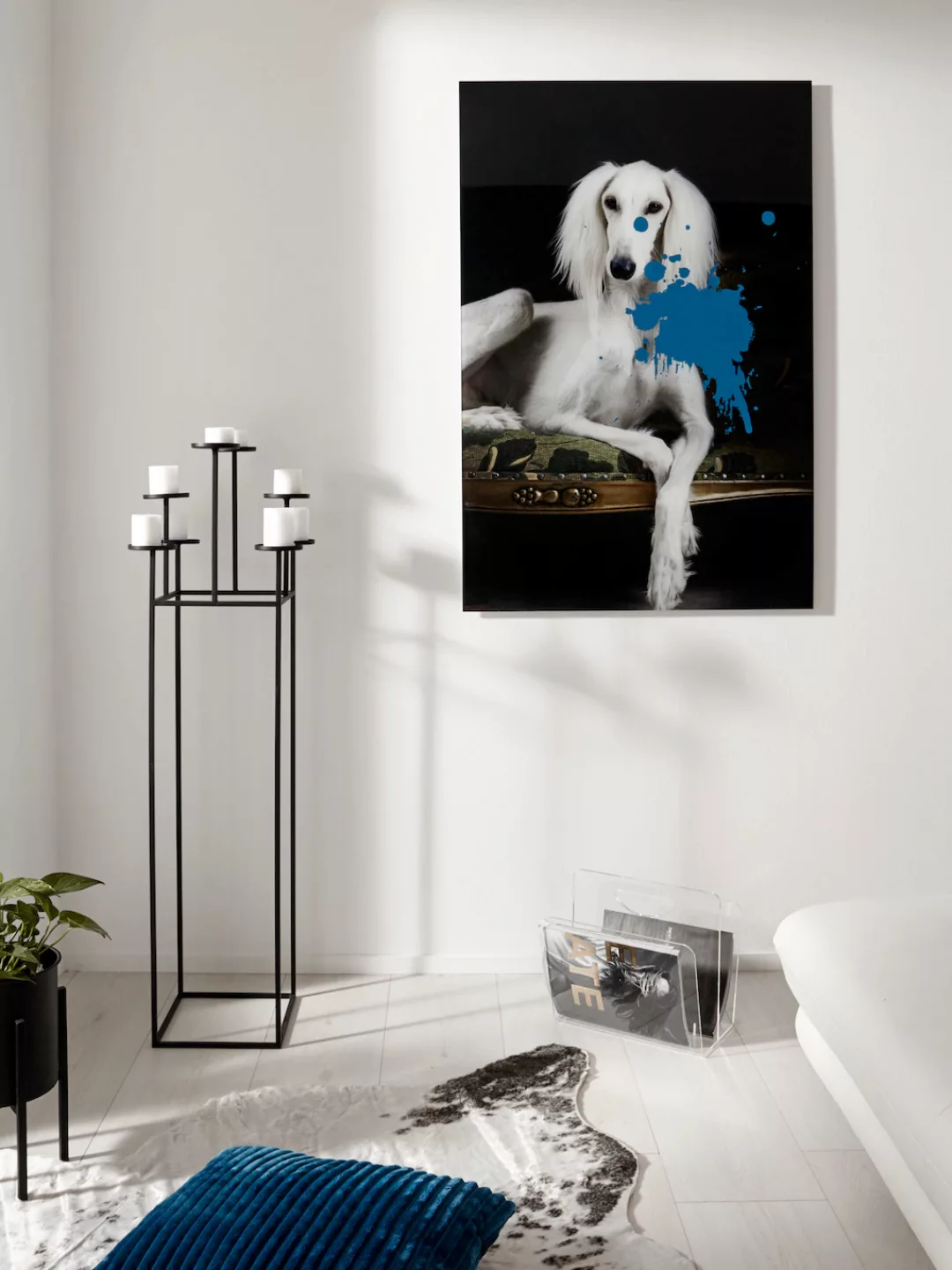 queence Acrylglasbild "Hund" günstig online kaufen