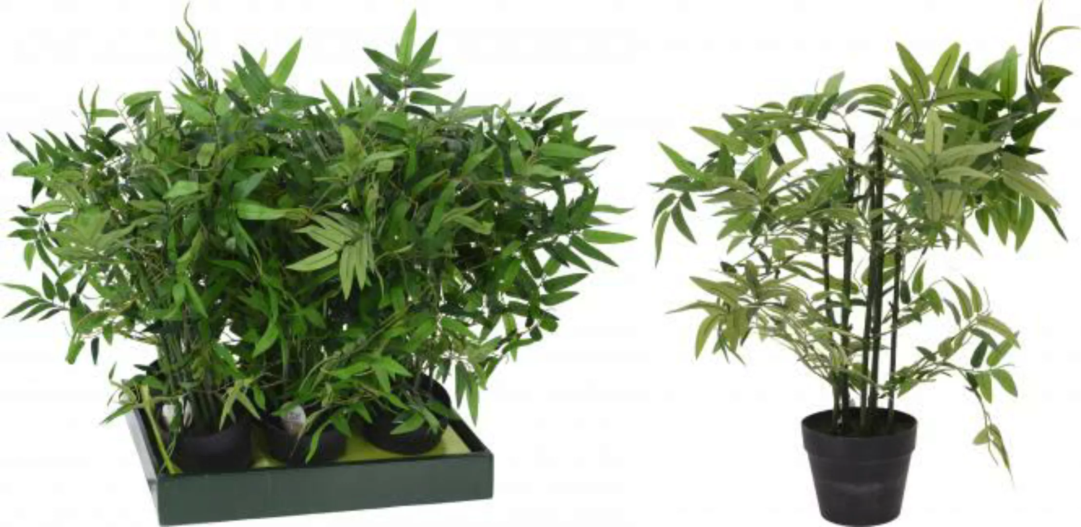 BAMBOO Dekopflanze inkl Topf 60 cm von Koopman günstig online kaufen