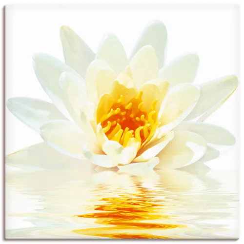 Artland Wandbild "Lotusblume schwimmt im Wasser", Blumen, (1 St.), als Lein günstig online kaufen