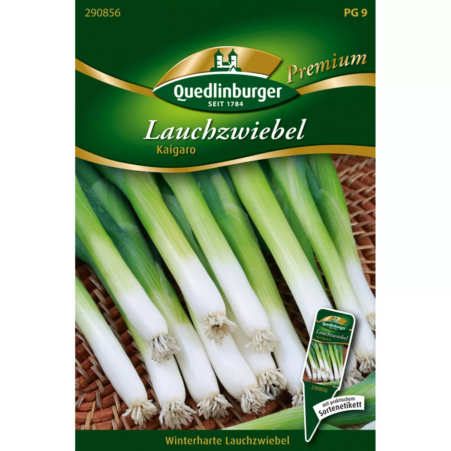 Quedlinburger Lauch Zwiebel ''Kaigaro'' günstig online kaufen