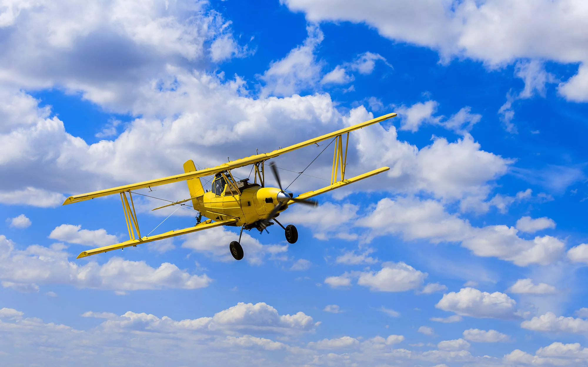 Fototapete Biplane günstig online kaufen