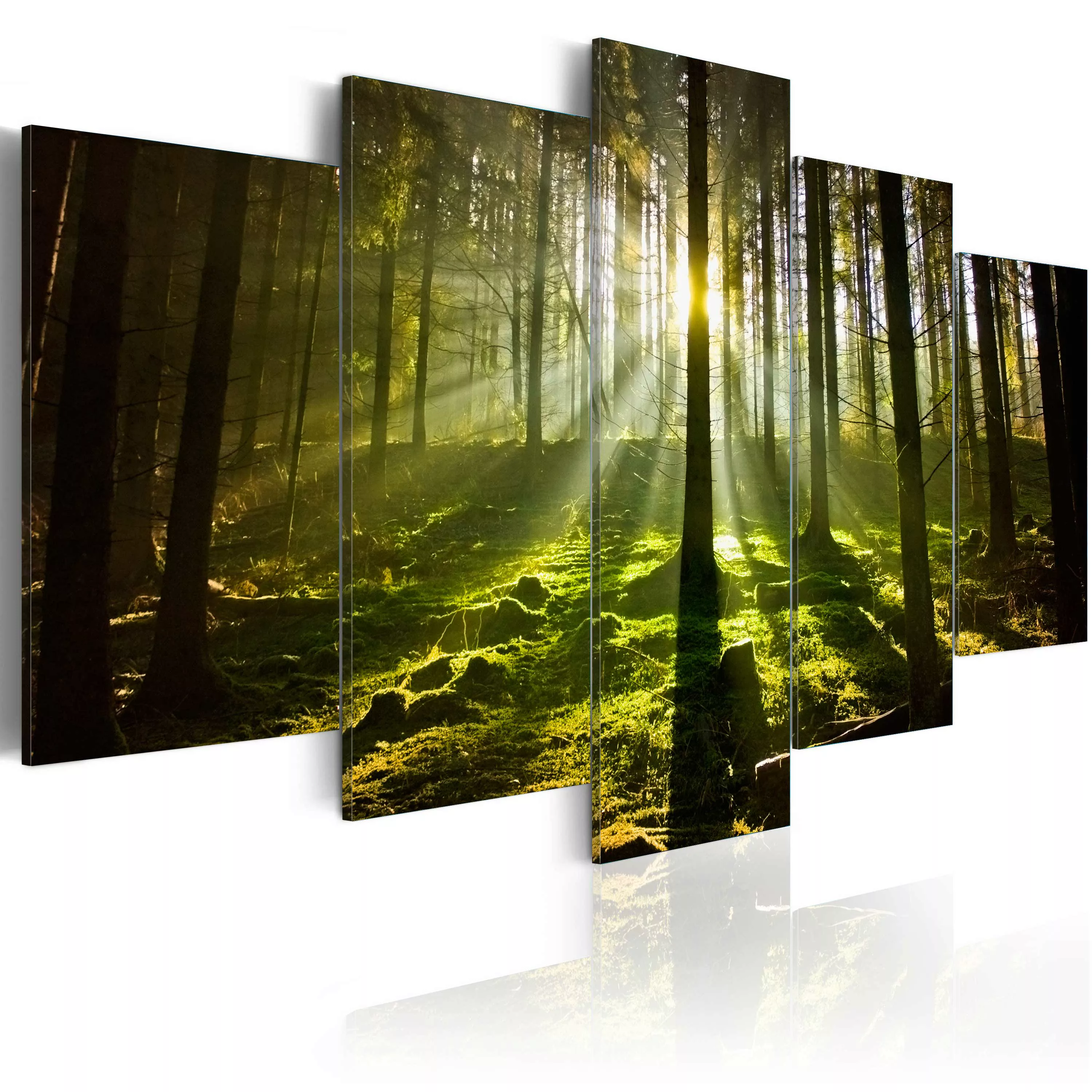 Wandbild - Spring Silence günstig online kaufen