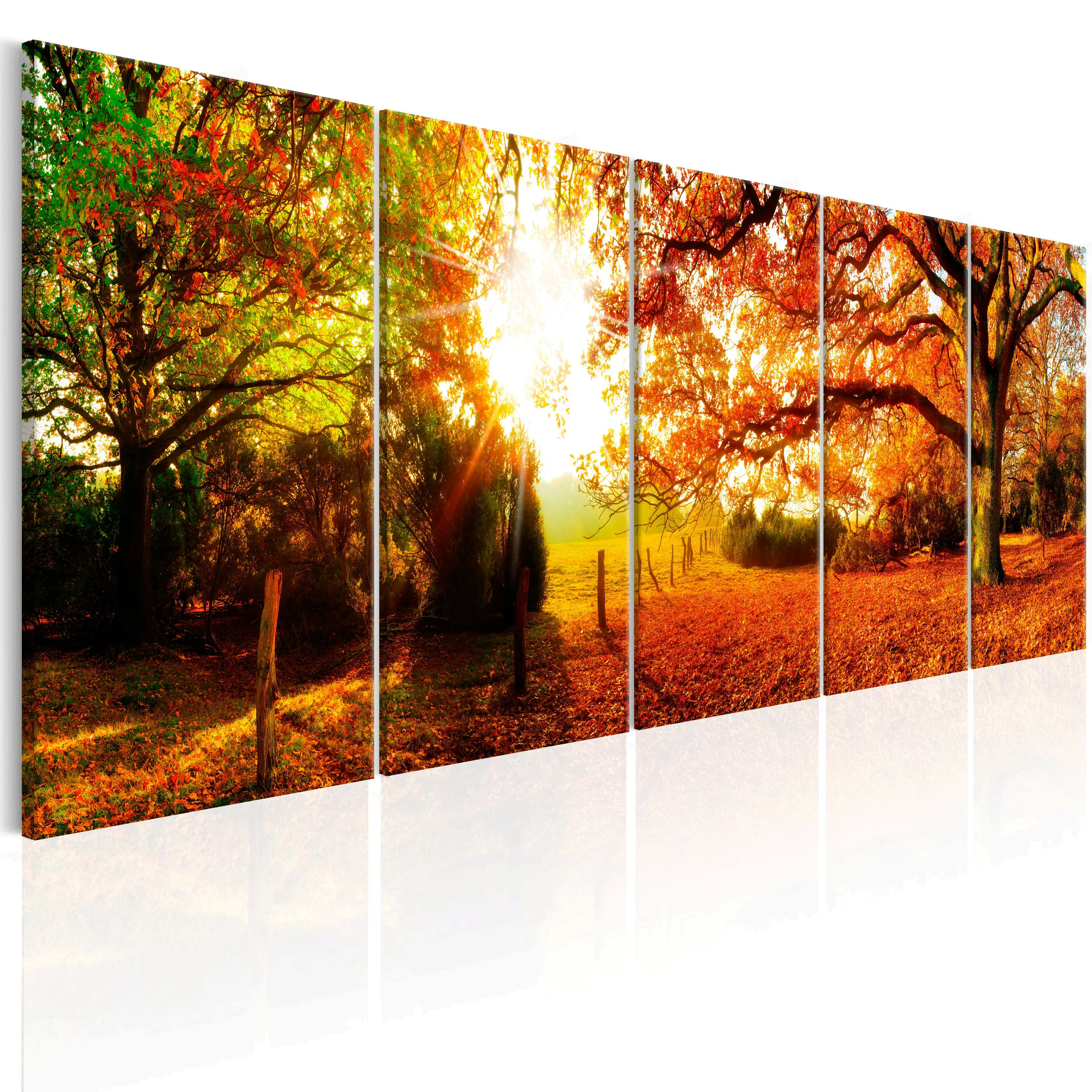 Wandbild - Enchanting Autumn günstig online kaufen