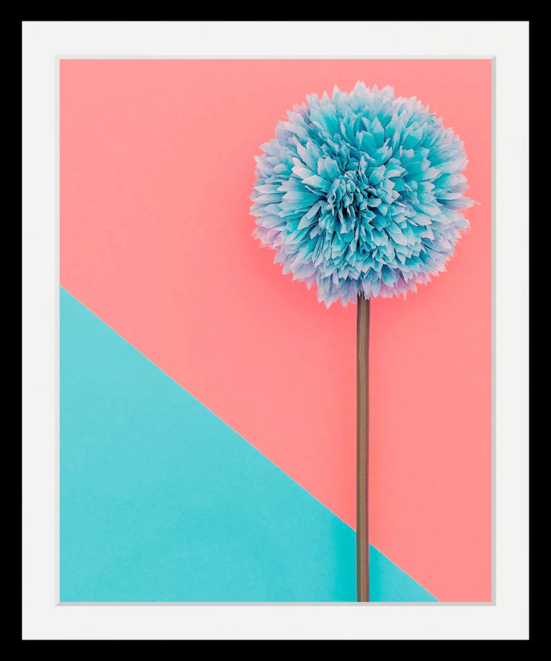 queence Bild "Pusteblume", Blumen-Blumenbilder-Pflanzen-Kunst, HD Premium P günstig online kaufen