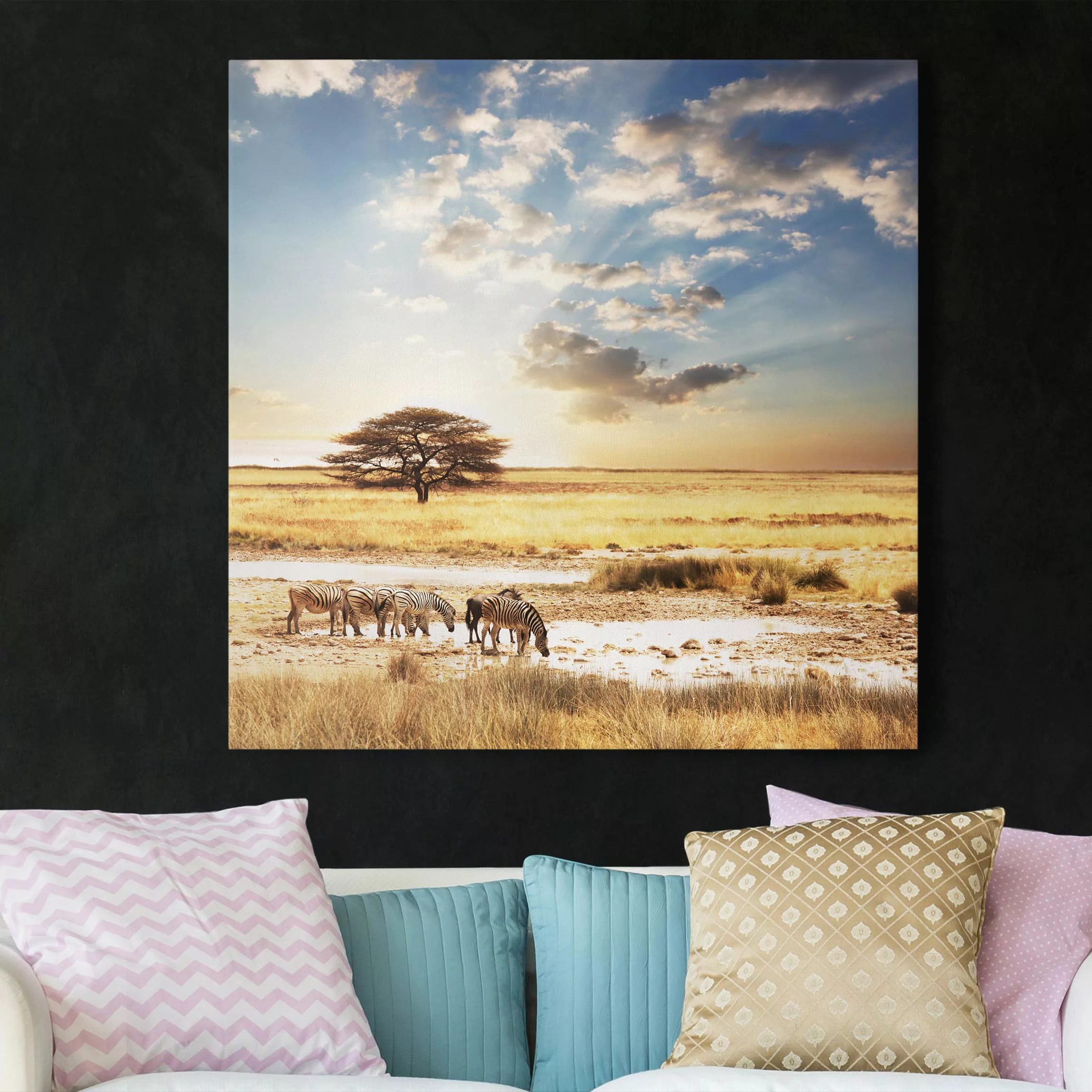 Leinwandbild Afrika - Quadrat Das Leben der Zebras günstig online kaufen