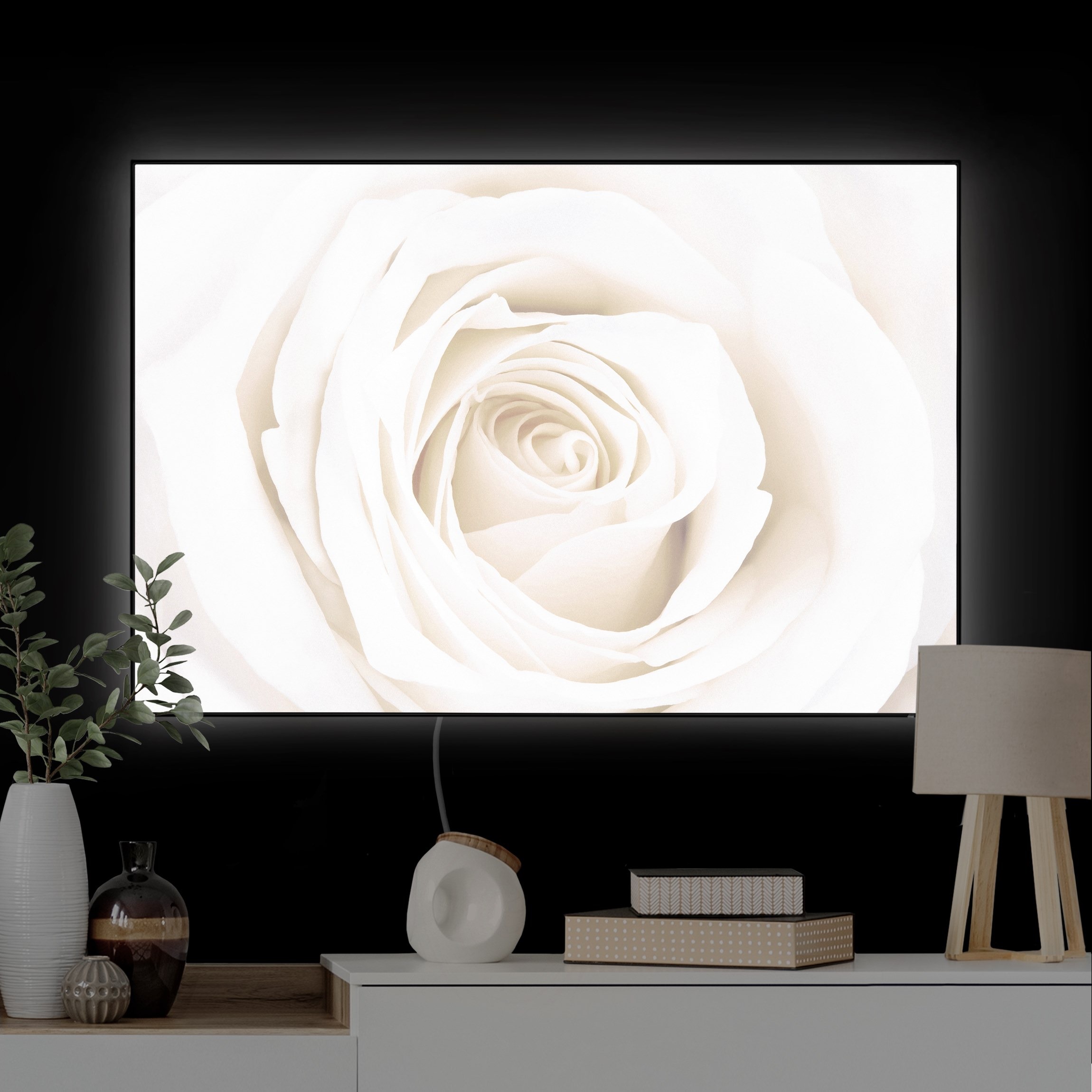 LED-Wechselbild Pretty White Rose günstig online kaufen