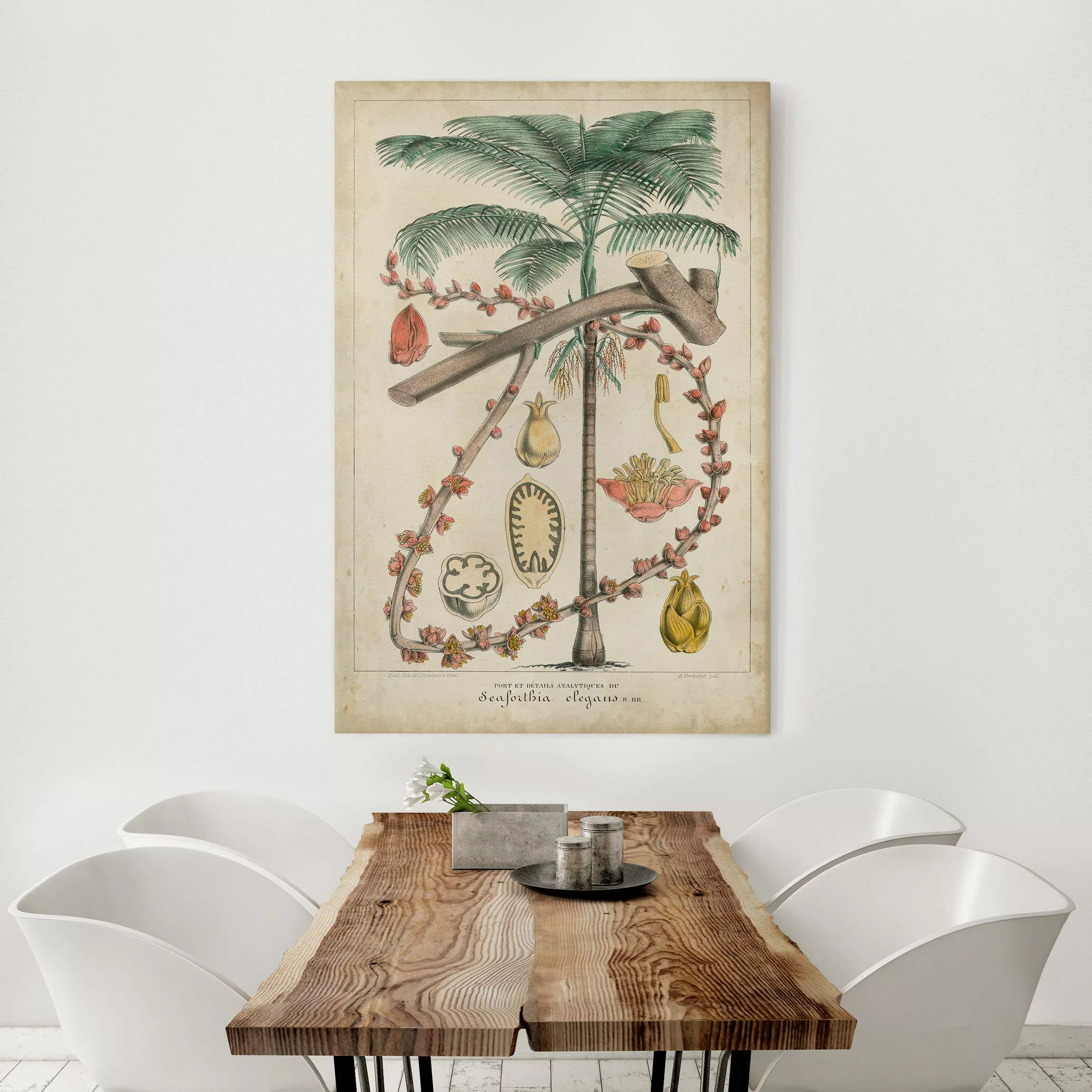 Leinwandbild Vintage Lehrtafel Exotische palmen II günstig online kaufen