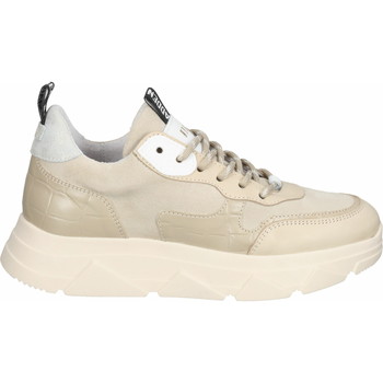 Steve Madden  Sneaker Sneaker günstig online kaufen