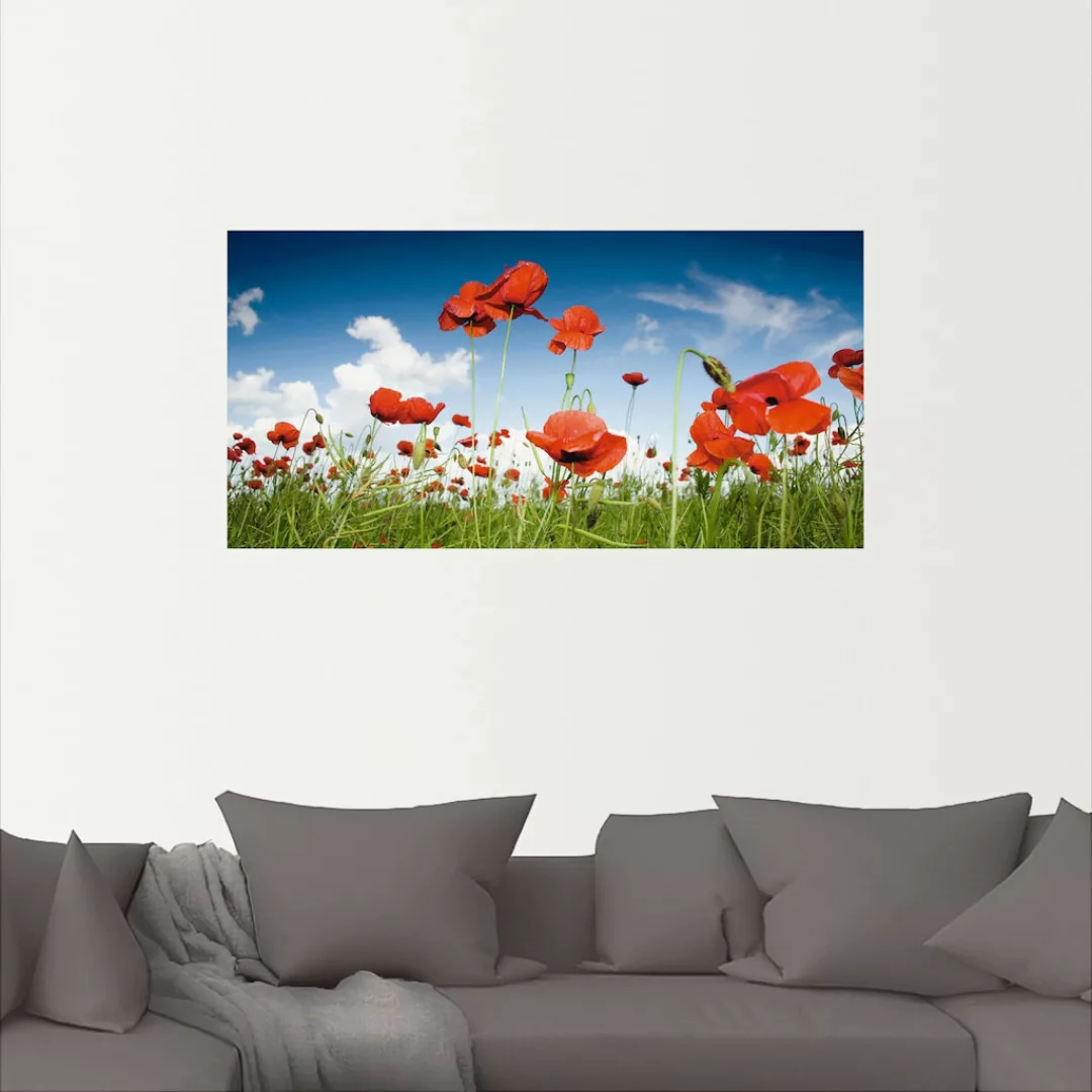 Artland Wandbild "Feld mit Mohnblumen unter Himmel", Blumenwiese, (1 St.) günstig online kaufen