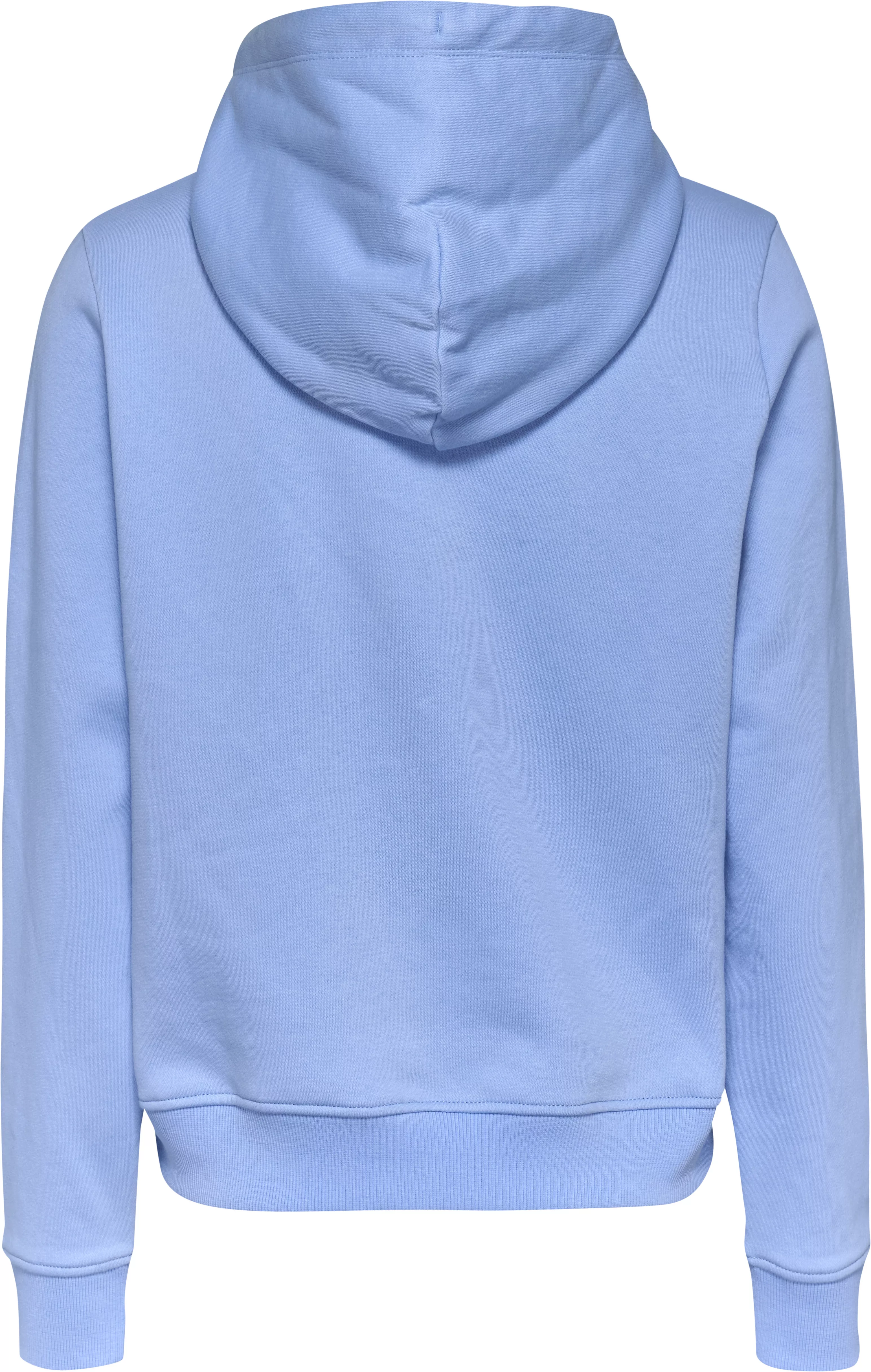 Tommy Jeans Kapuzensweatshirt "TJW REG LINEAR HOODIE", mit Logoschriftzug günstig online kaufen