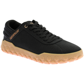 Caterpillar  Sneaker Hex + Canvas günstig online kaufen