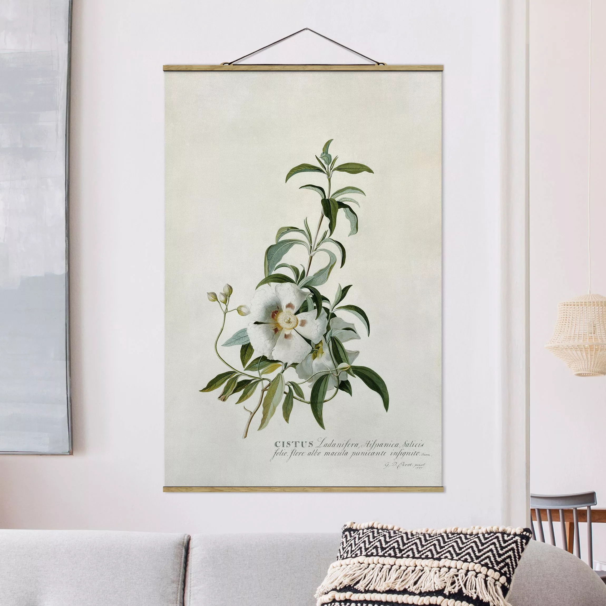 Stoffbild Blumen mit Posterleisten - Hochformat Georg Dionysius Ehret - Zis günstig online kaufen