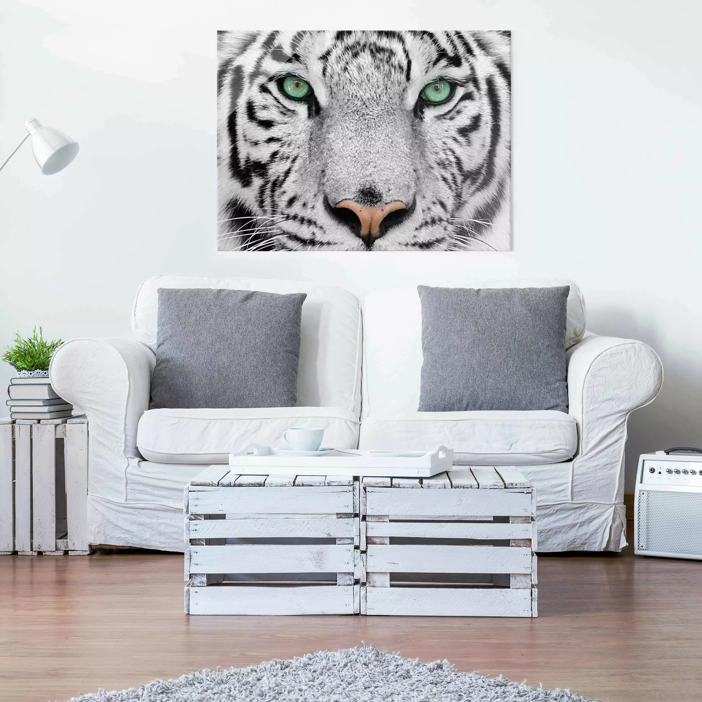 Glasbild Schwarz-Weiß - Querformat Weißer Tiger günstig online kaufen