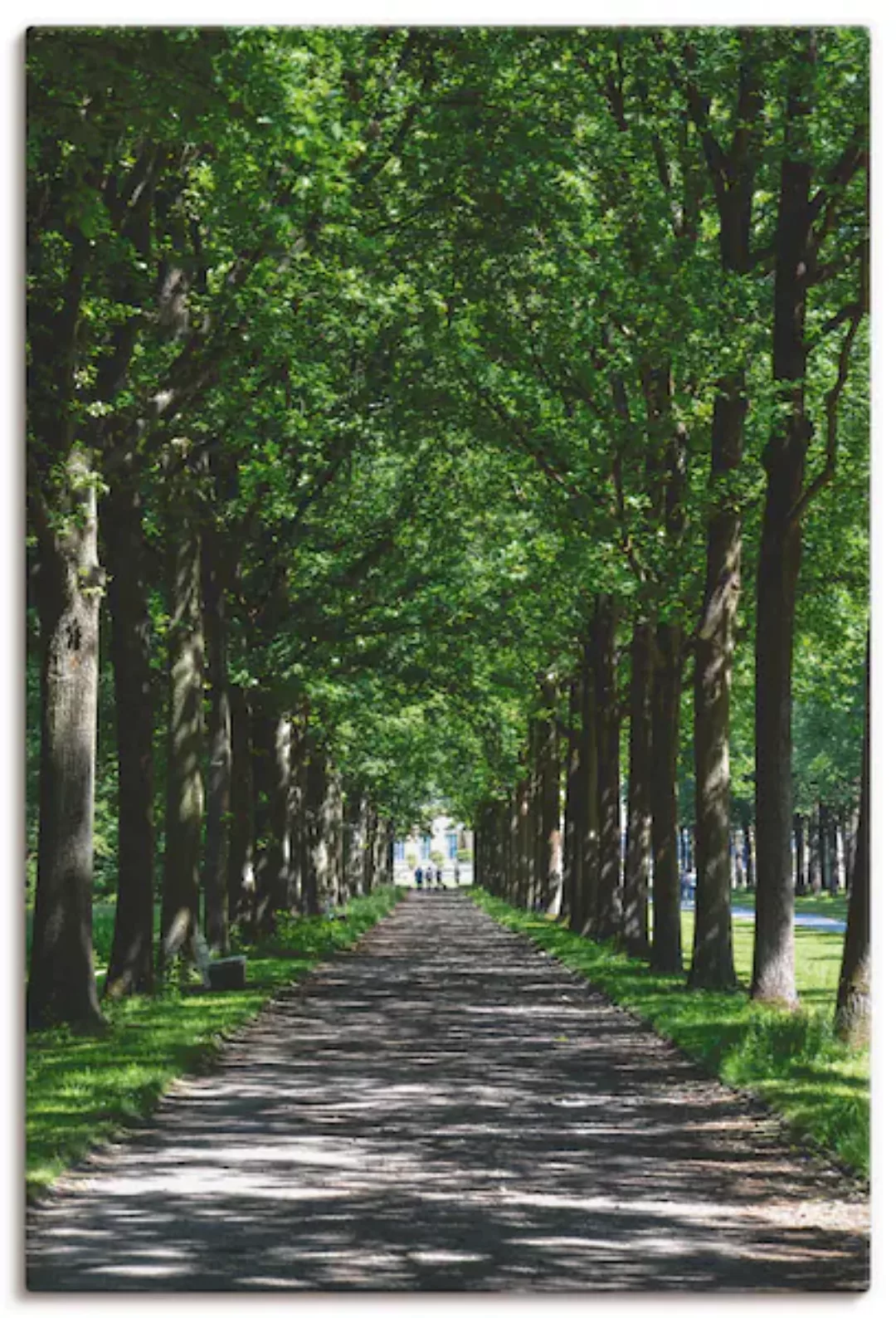 Artland Leinwandbild "Allee in der Karlsaue in Kassel", Bäume, (1 St.) günstig online kaufen