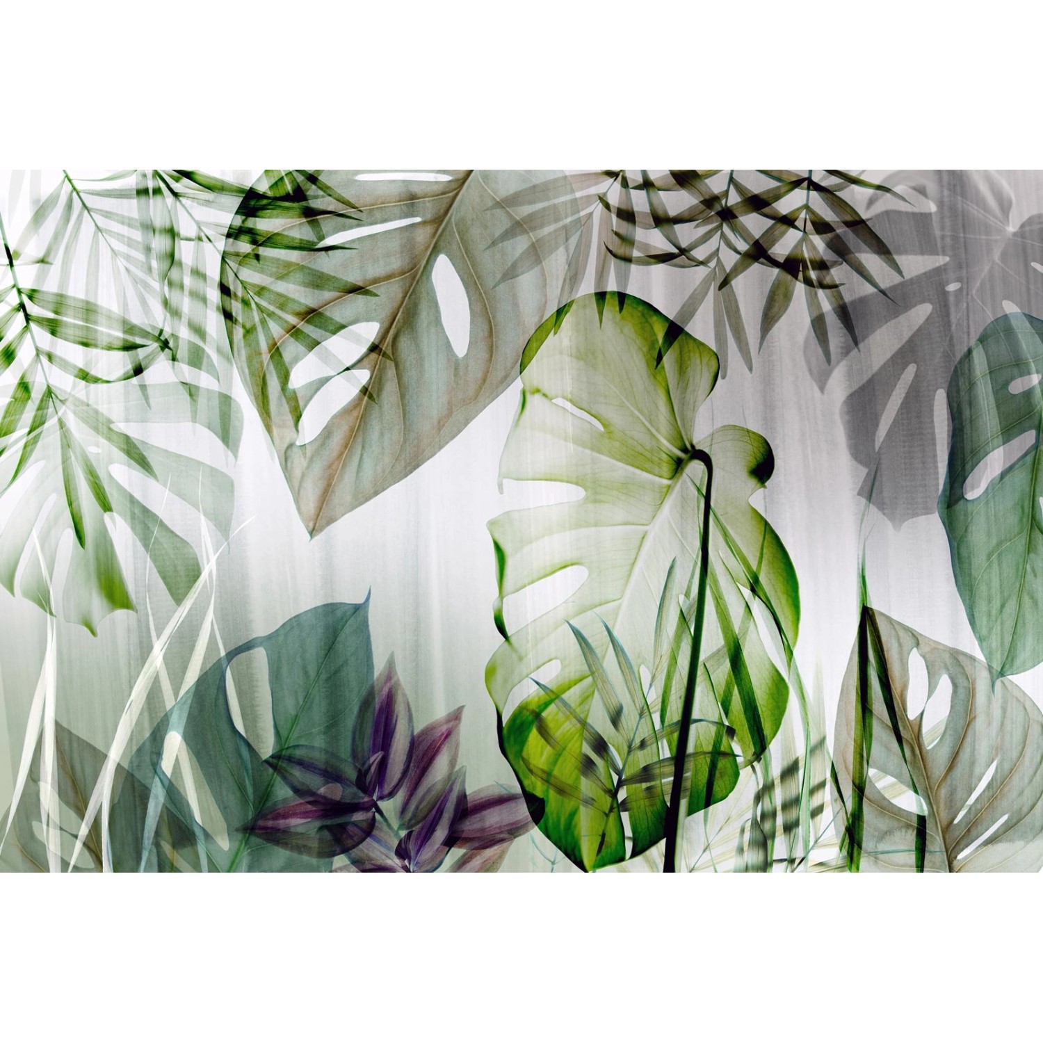 Bricoflor Monstera Tapete Transparent Tropische Blätter Vliestapete in Grün günstig online kaufen