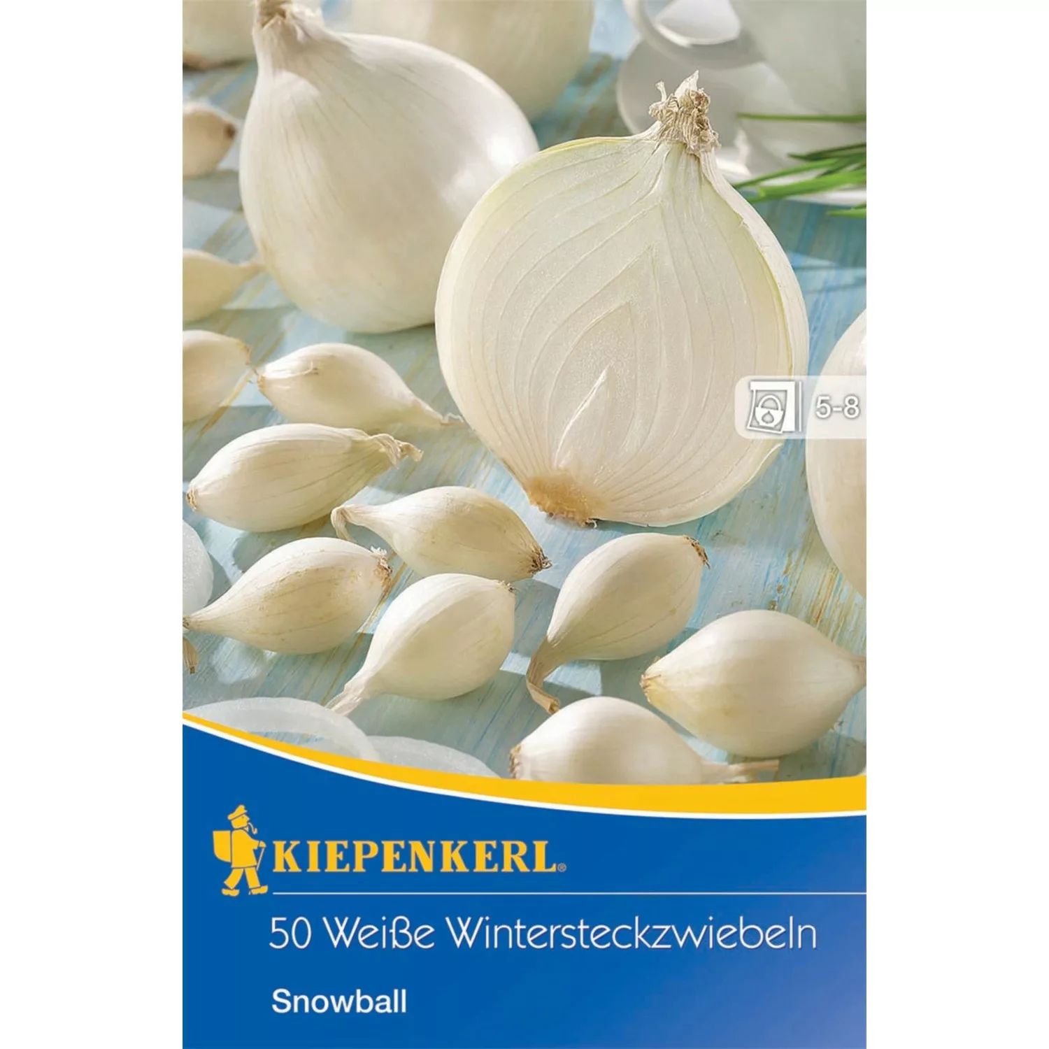 Kiepenkerl Wintersteckzwiebeln Snowball 50 Stück günstig online kaufen