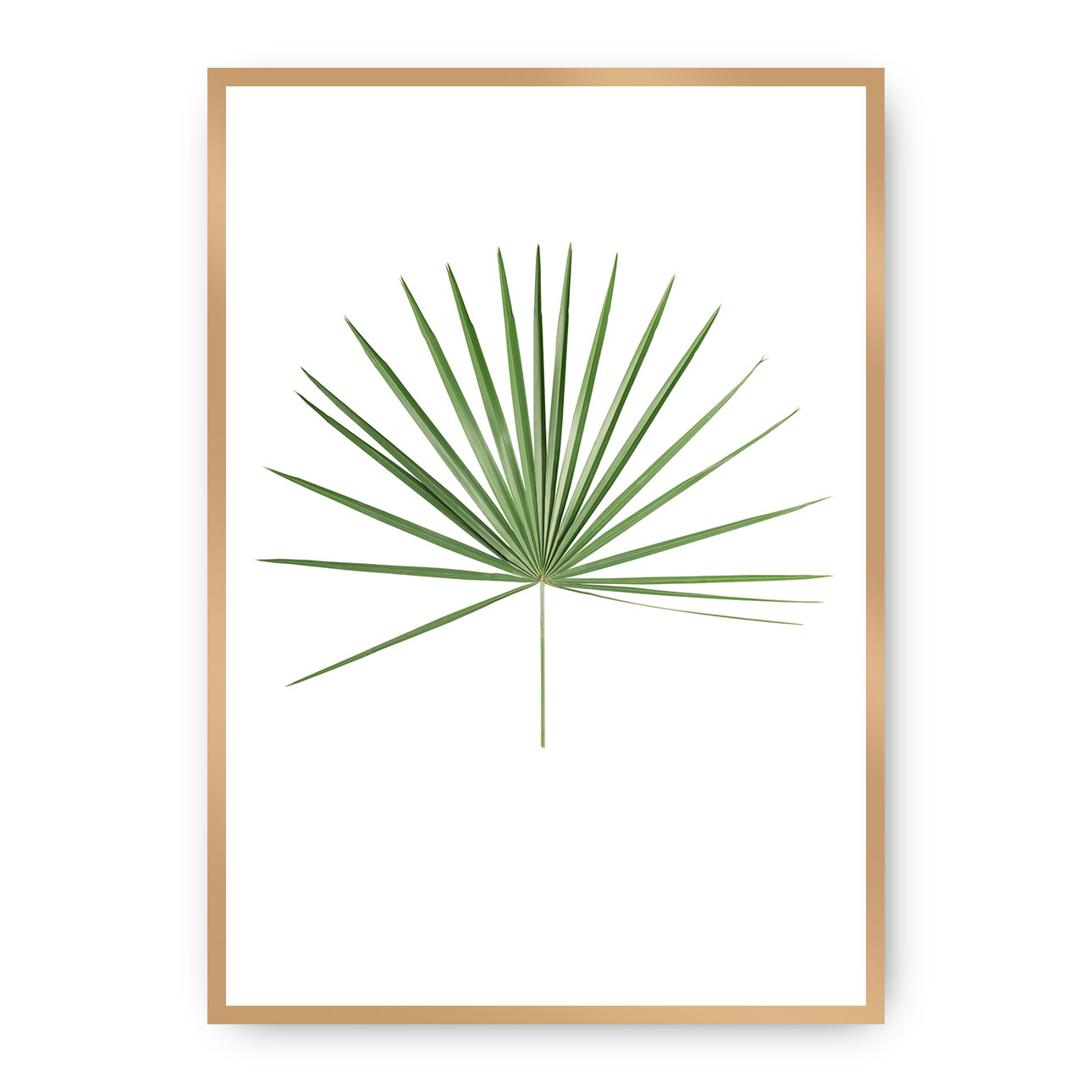 Poster Tropical Leaf Green, 21 x 30 cm, Rahmen wählen: gold günstig online kaufen