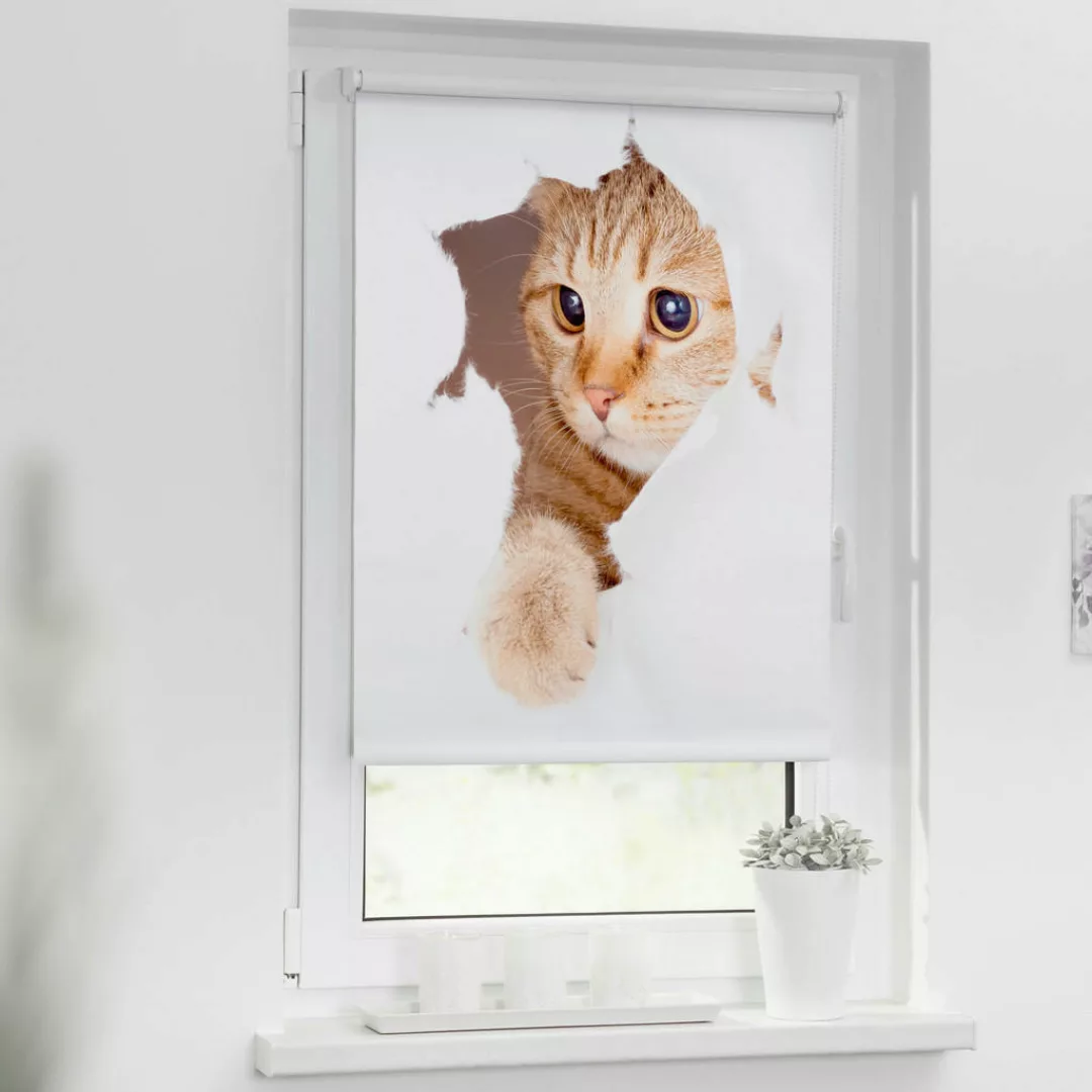 Verdunkelungsrollo Katze weiß B/L: ca. 90x150 cm günstig online kaufen