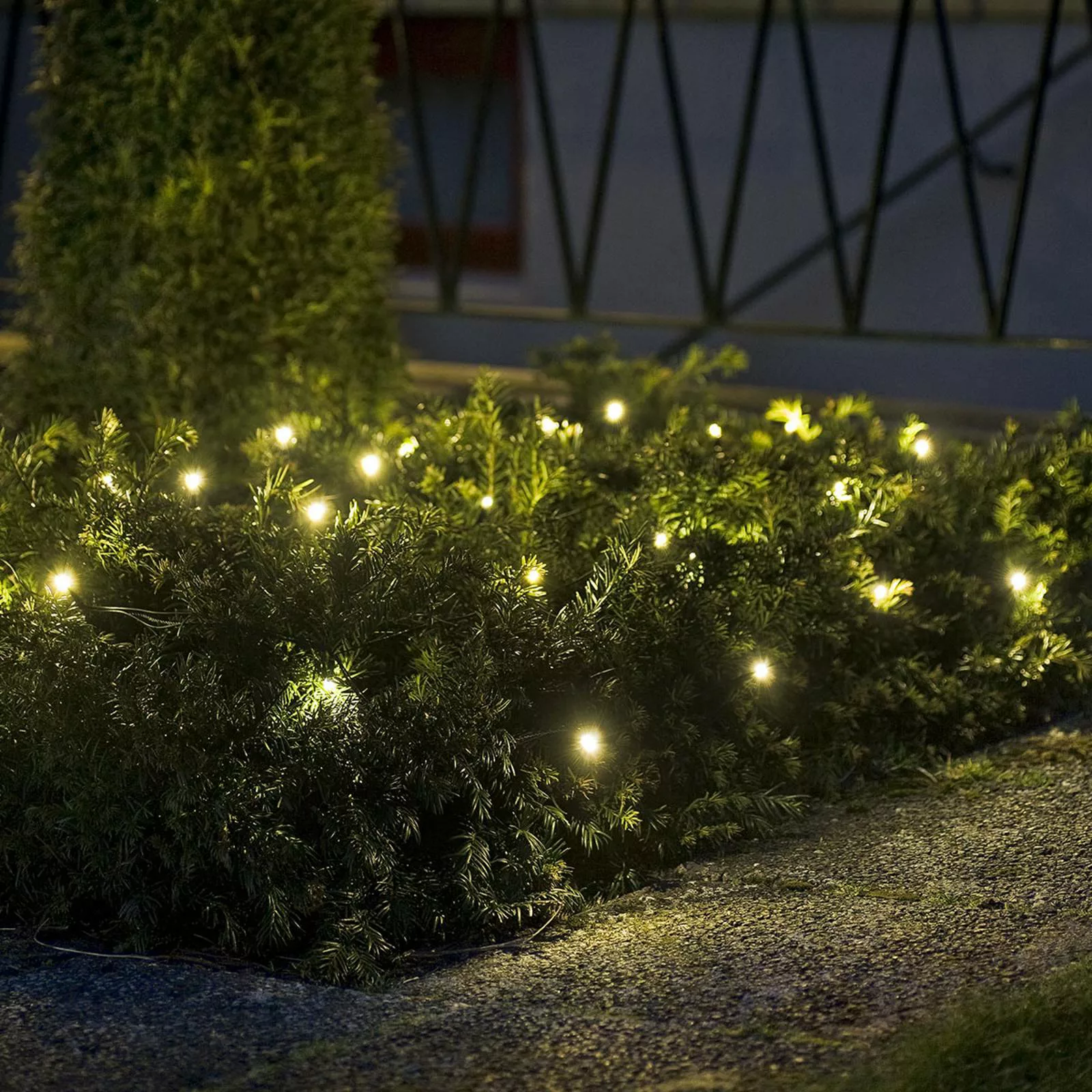 LED Lichternetz 64-flammig, warmweiß 2m günstig online kaufen