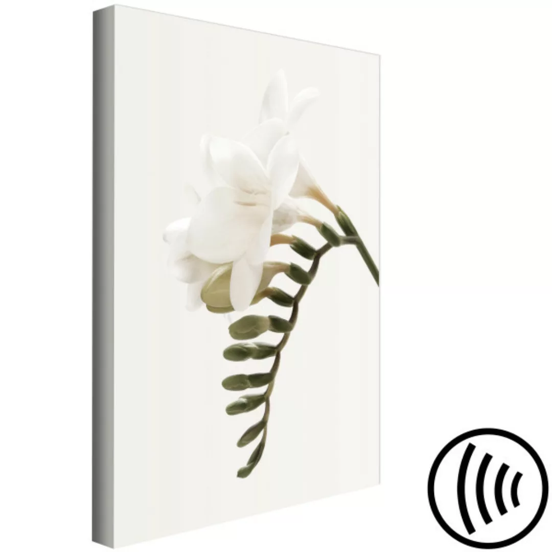 Wandbild Frühlingsabstraktion mit Knospen und weißen Blumen auf einem Zweig günstig online kaufen