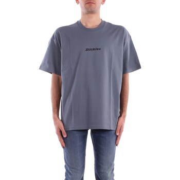 Dickies  T-Shirts & Poloshirts ENTERPRISE TEE DK0A4YRN-G701 STORMY WEATHER günstig online kaufen