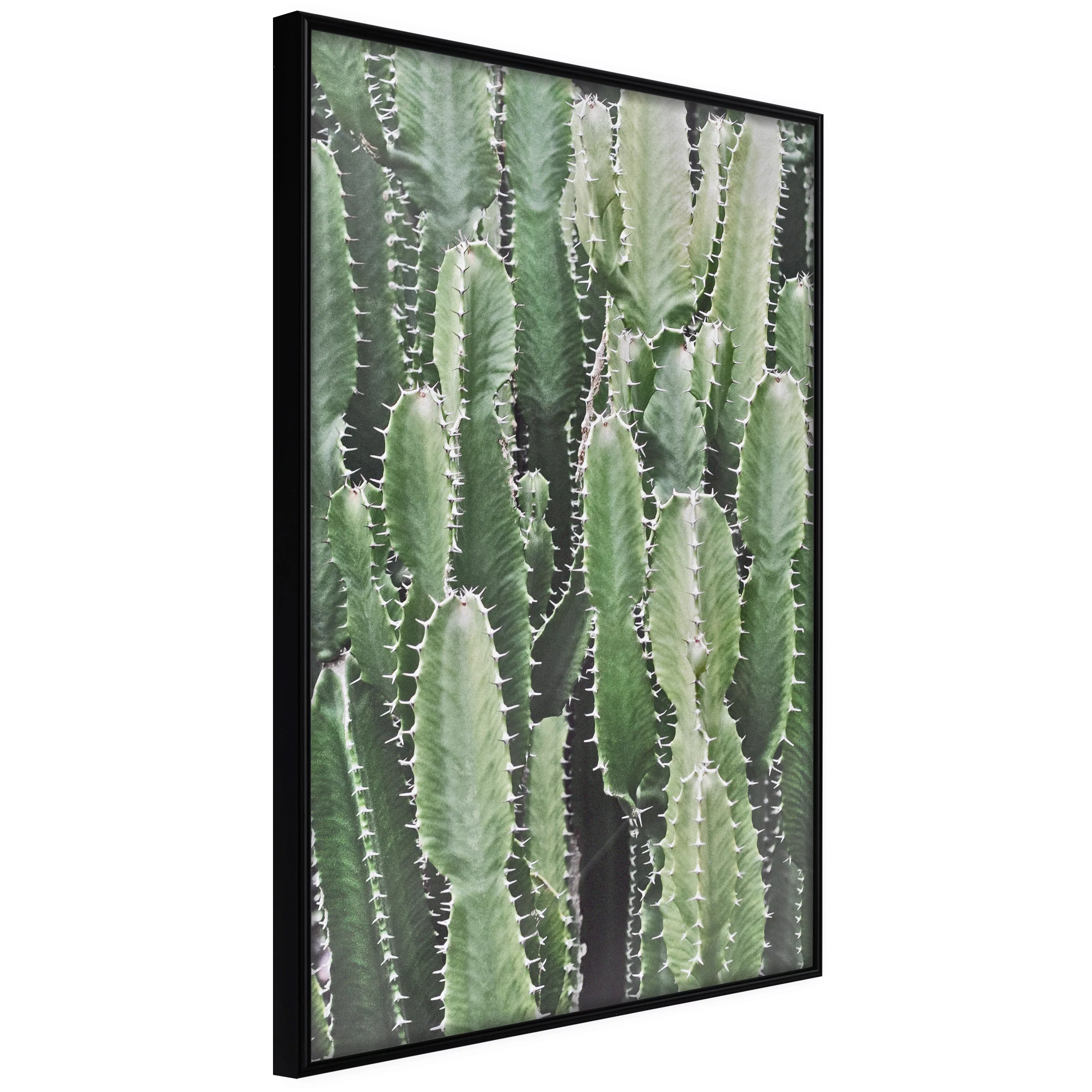 Poster - Cactus Plantation günstig online kaufen