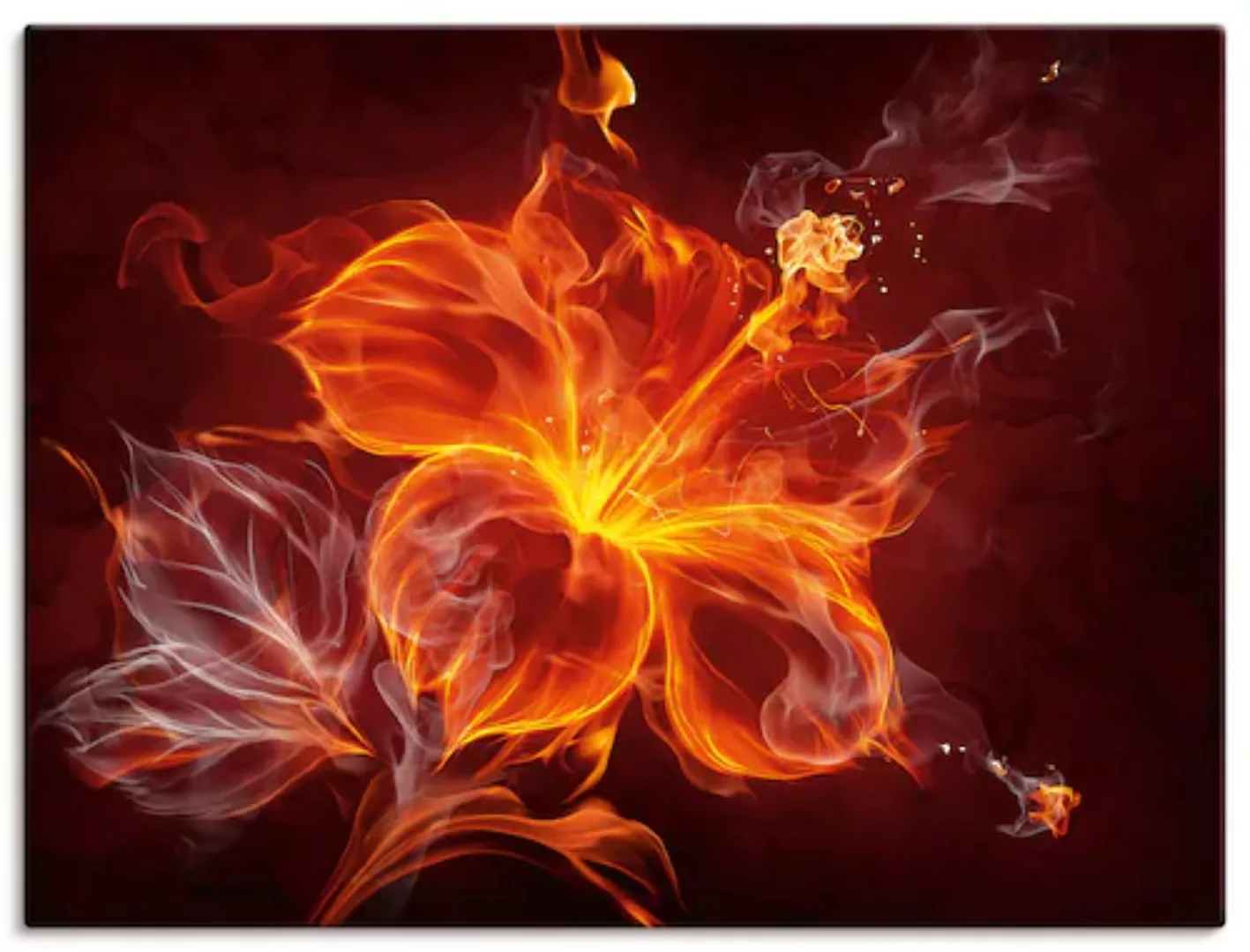 Artland Wandbild "Feuerblume", Blumen, (1 St.), als Leinwandbild, Poster, W günstig online kaufen