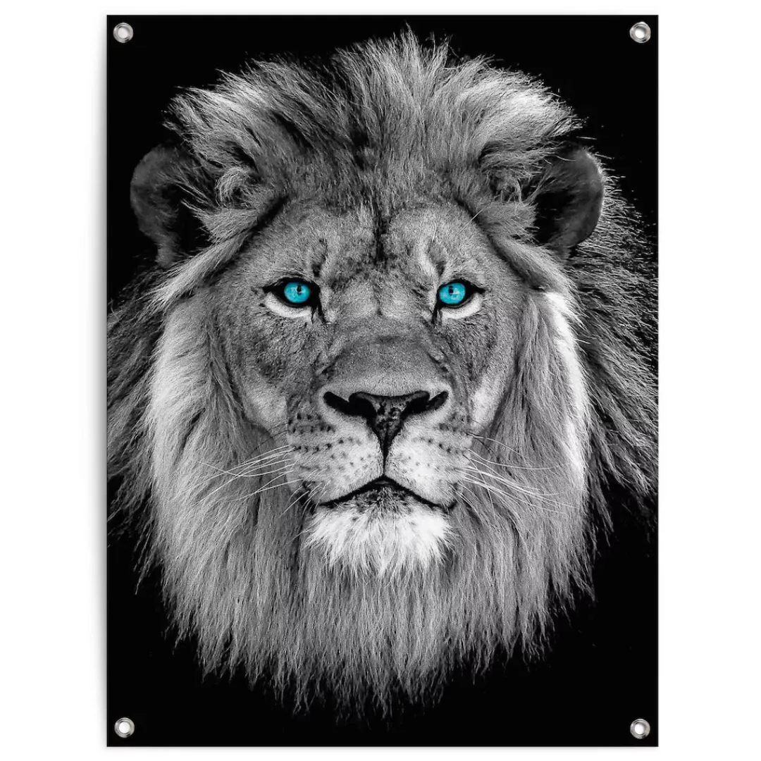 Reinders Poster "Löwe mit blaue Augen", Outdoor für Garten oder Balkon günstig online kaufen