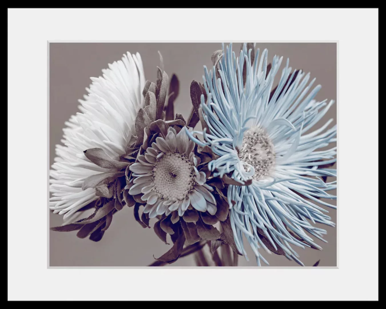 queence Bild »Verena«, Blumen, (1 St.) günstig online kaufen